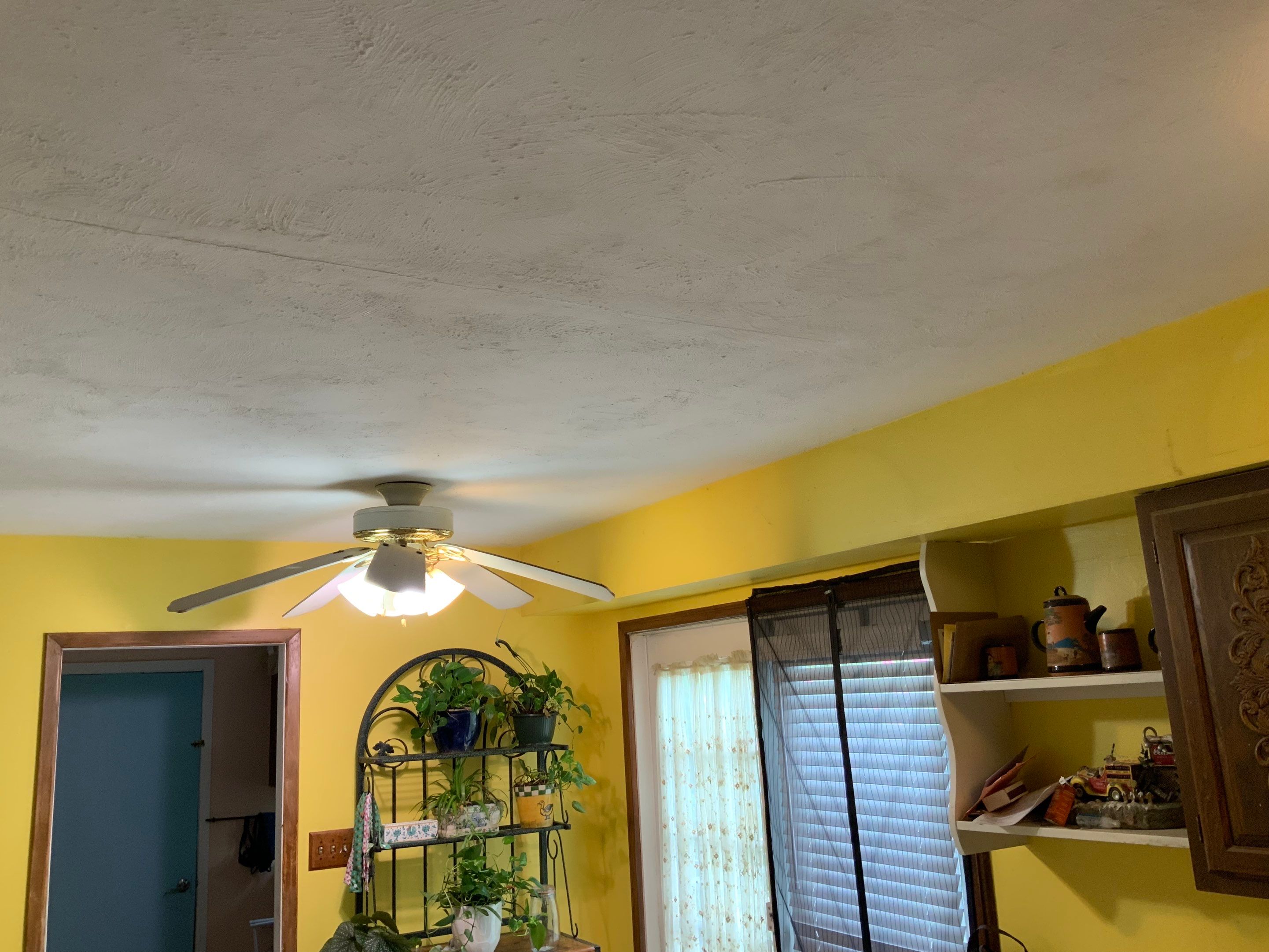 Ceiling Repair by Alpha Design Services
