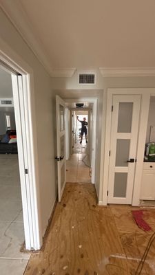 Black Mold Removal — Fort Myers, FL
