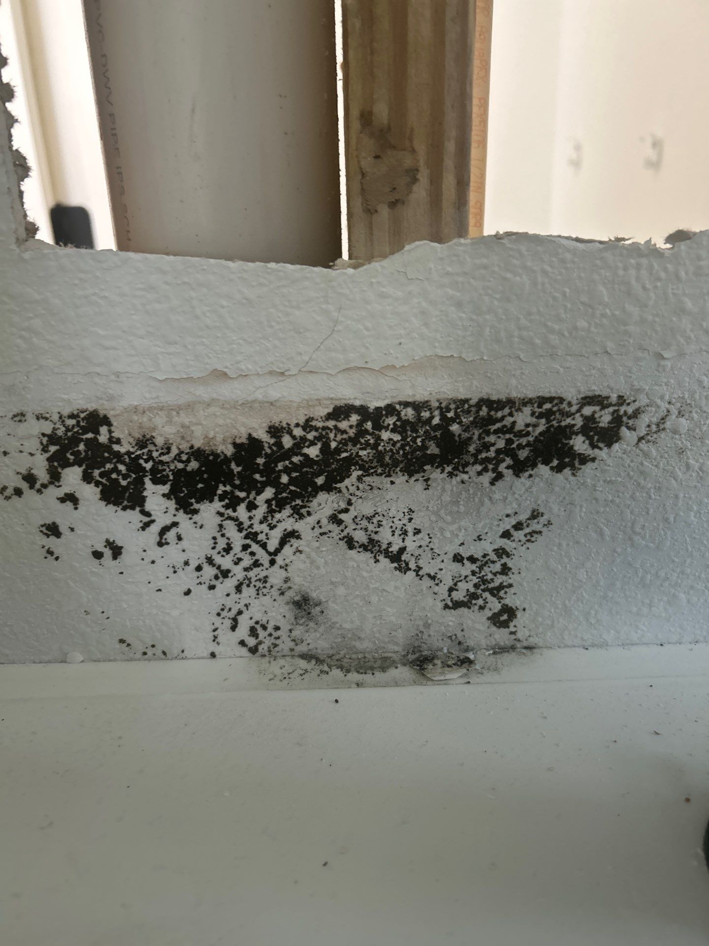 Water Damage Removal: Sarasota  by Ampm Restoration Services 