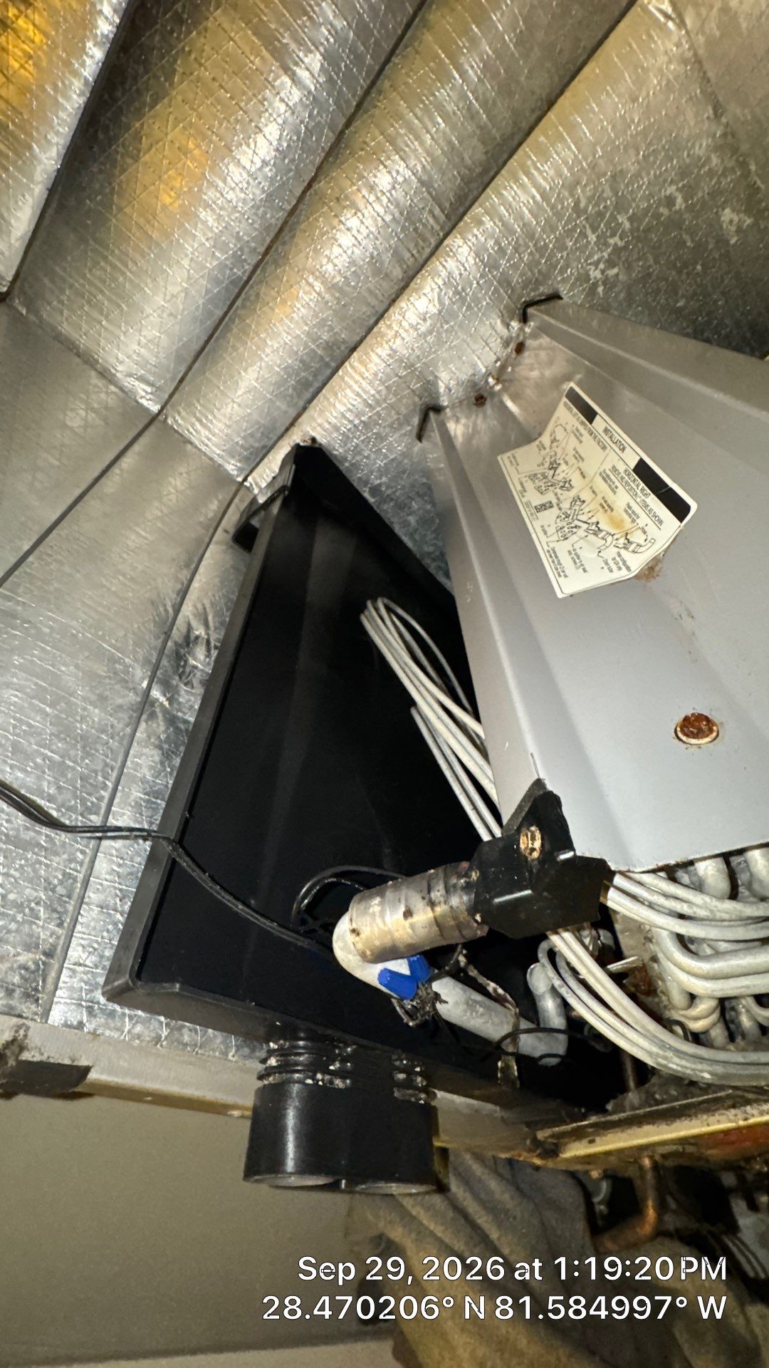 Air Duct & Air Handler Cleaning in Windermere by Hygienic Air, Inc