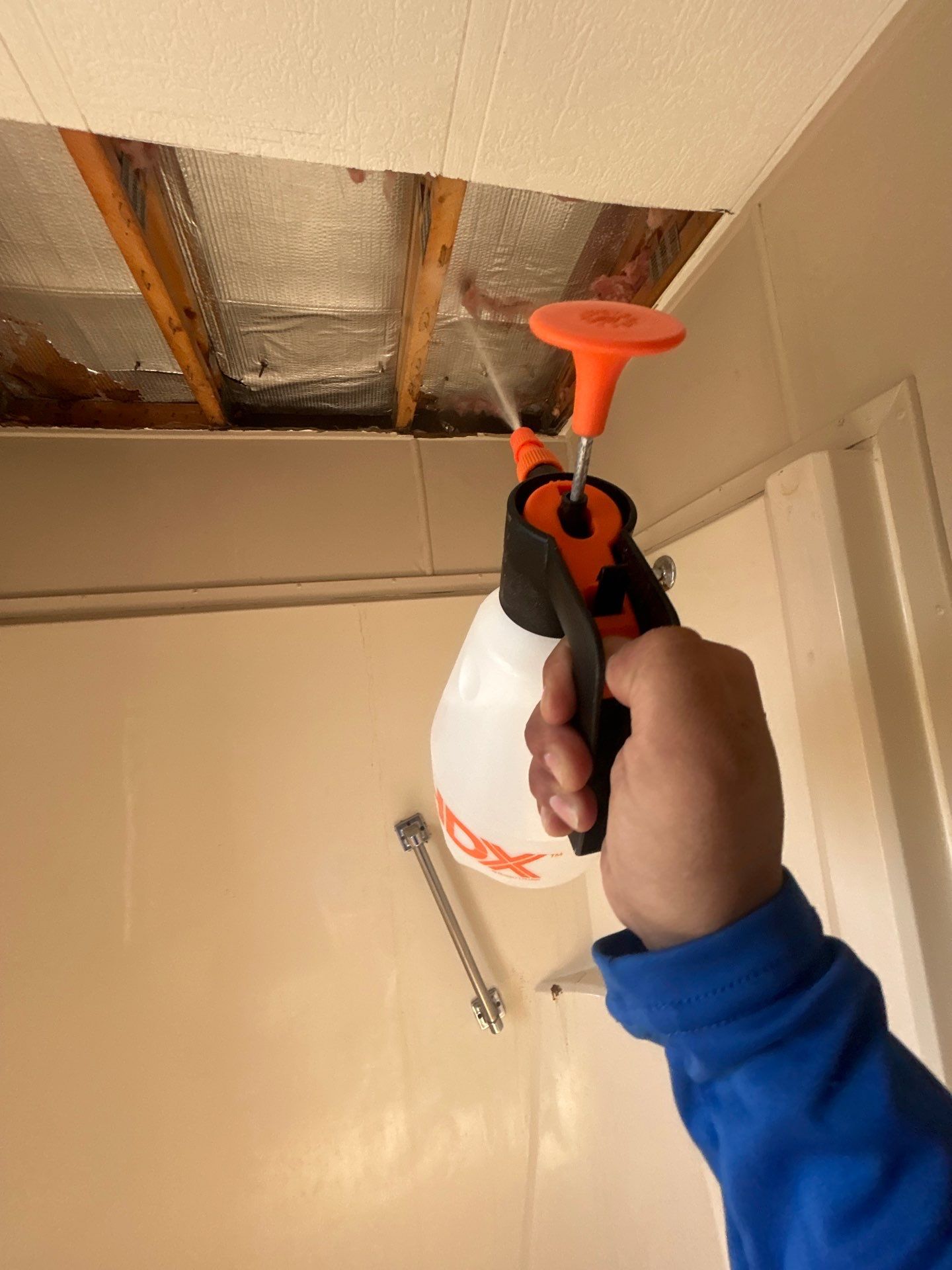 Mold Inspection And Repair In Bradenton by Ampm Restoration Services