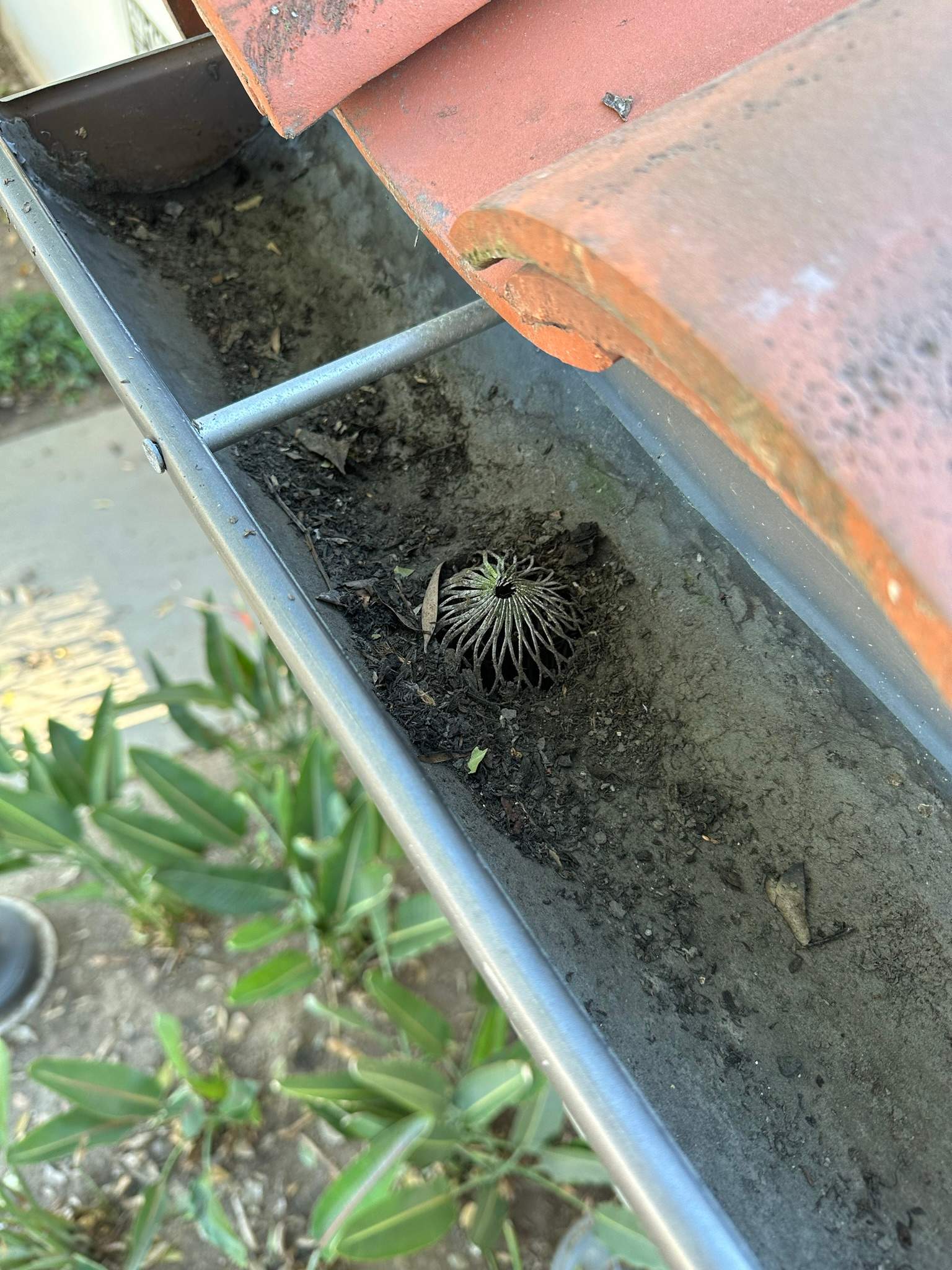 Orange County Gutter Cleaning by Property Cleaning Experts