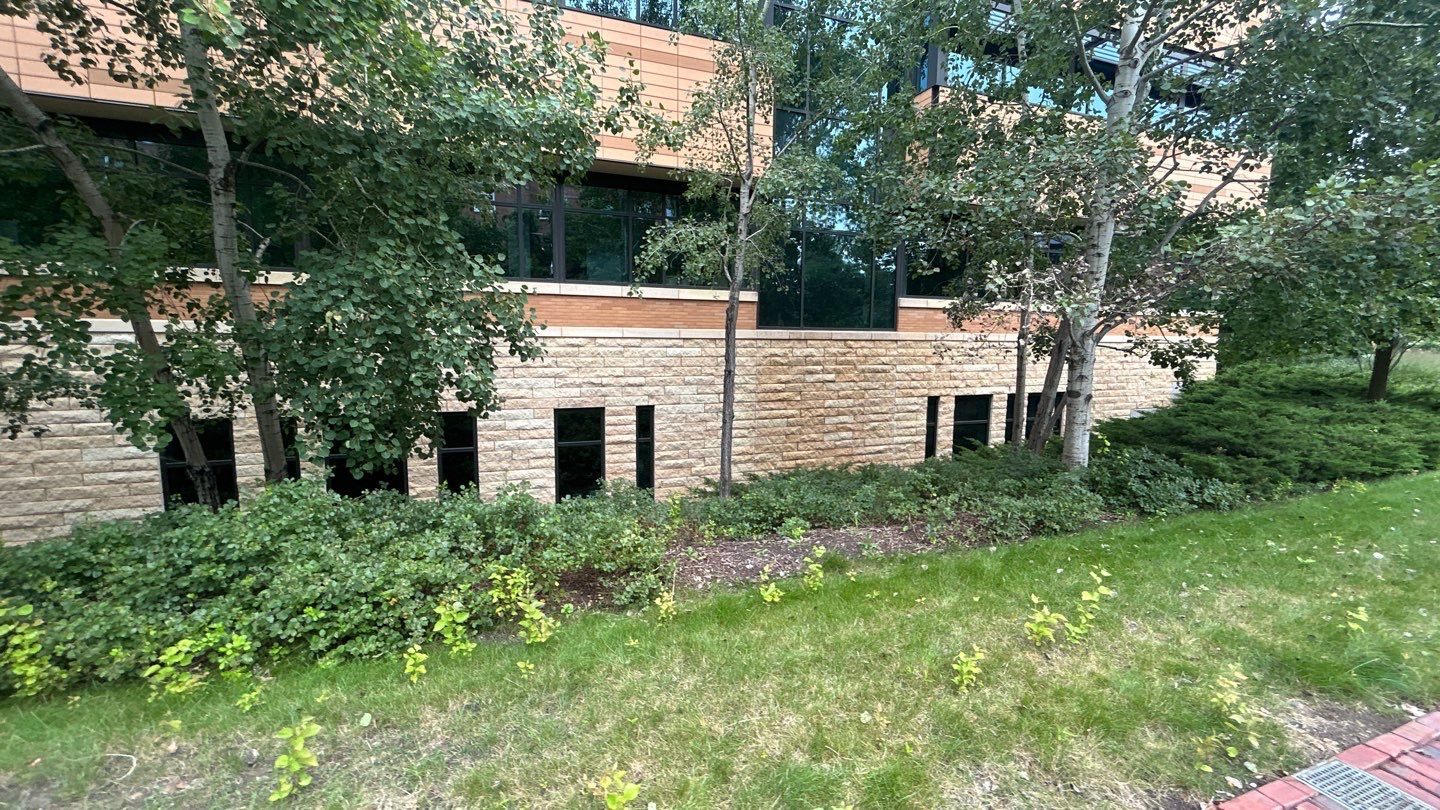 natural stone using Algaecide, soft wash soap by Northern Power Washing LLC.