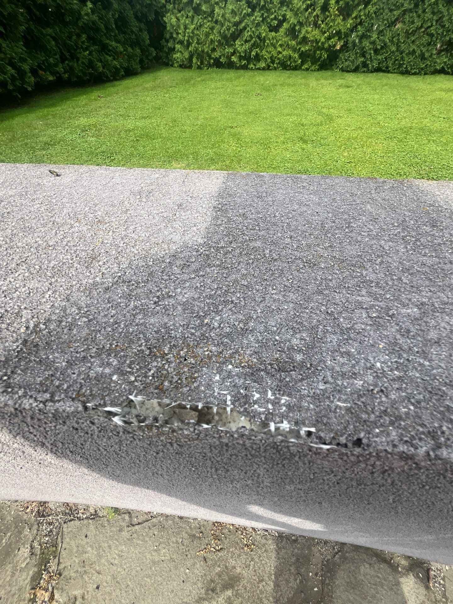 roof washing using Algaecide, soft wash soap by Northern Power Washing LLC.