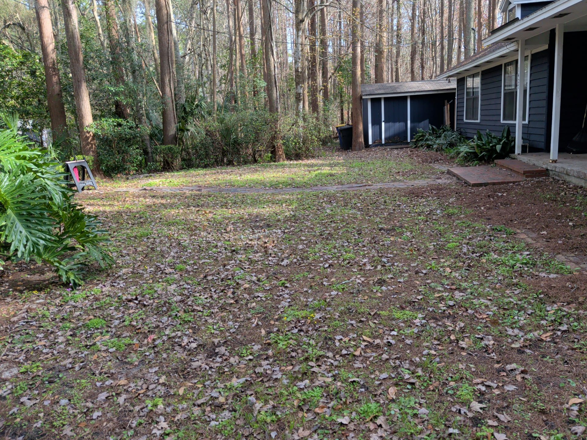 Large-Scale Leaf Removal & Property Cleanup — Jacksonville, FL (Southside Area) by Harmoni Home Services