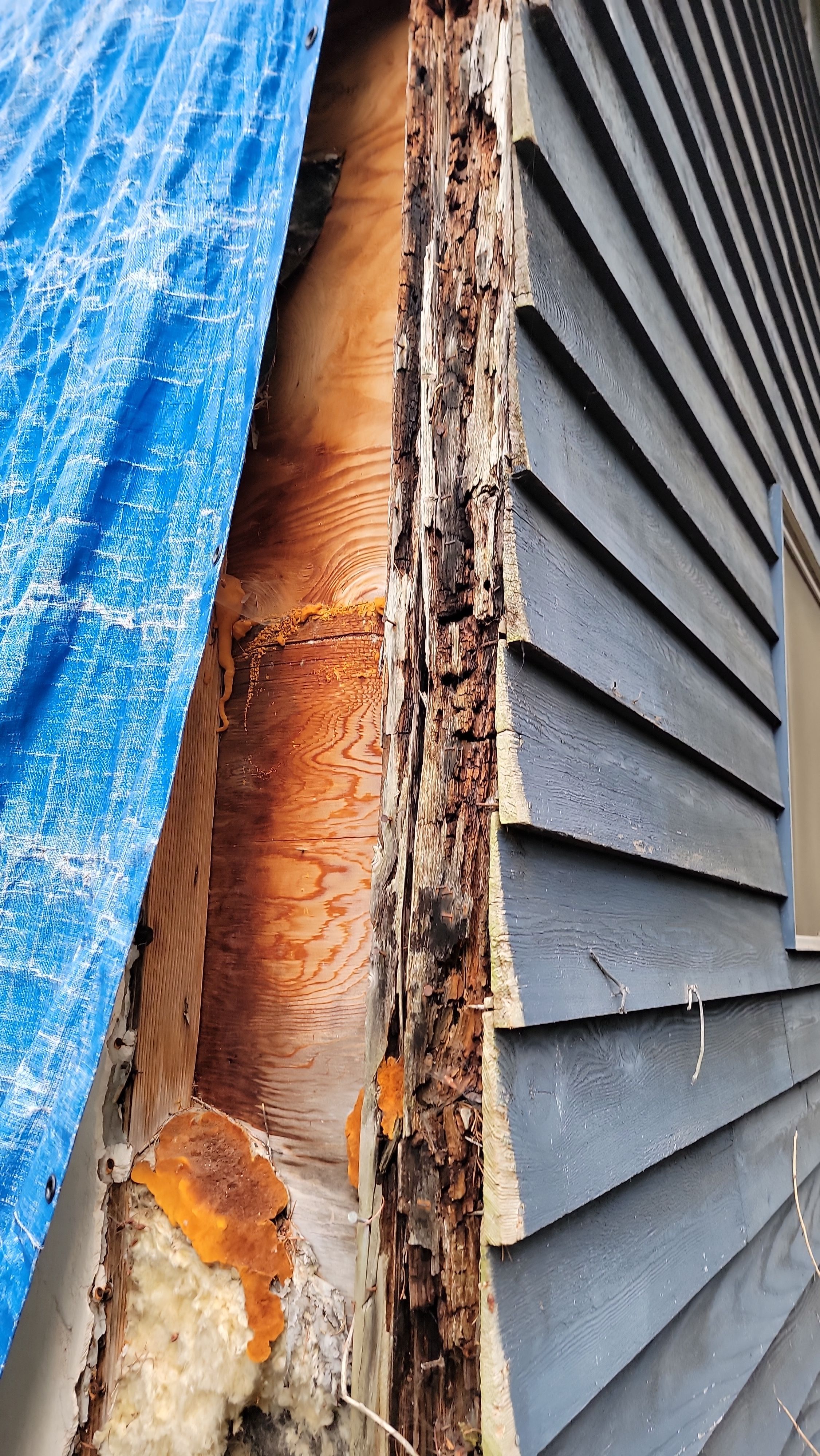 Roof, Siding & Windows in Federal Way by RoofSmart