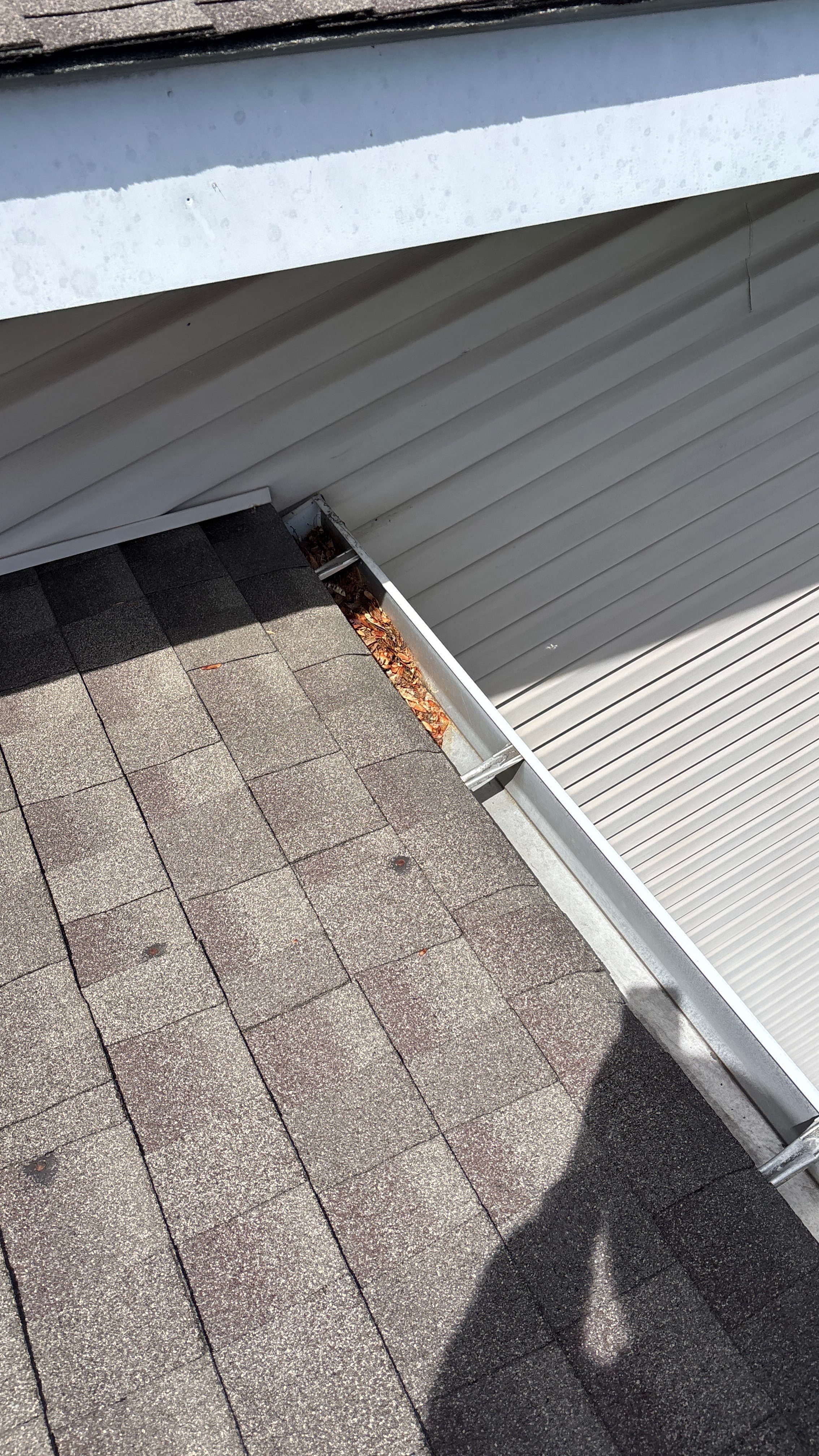 HOA gutter cleaning before photo.
