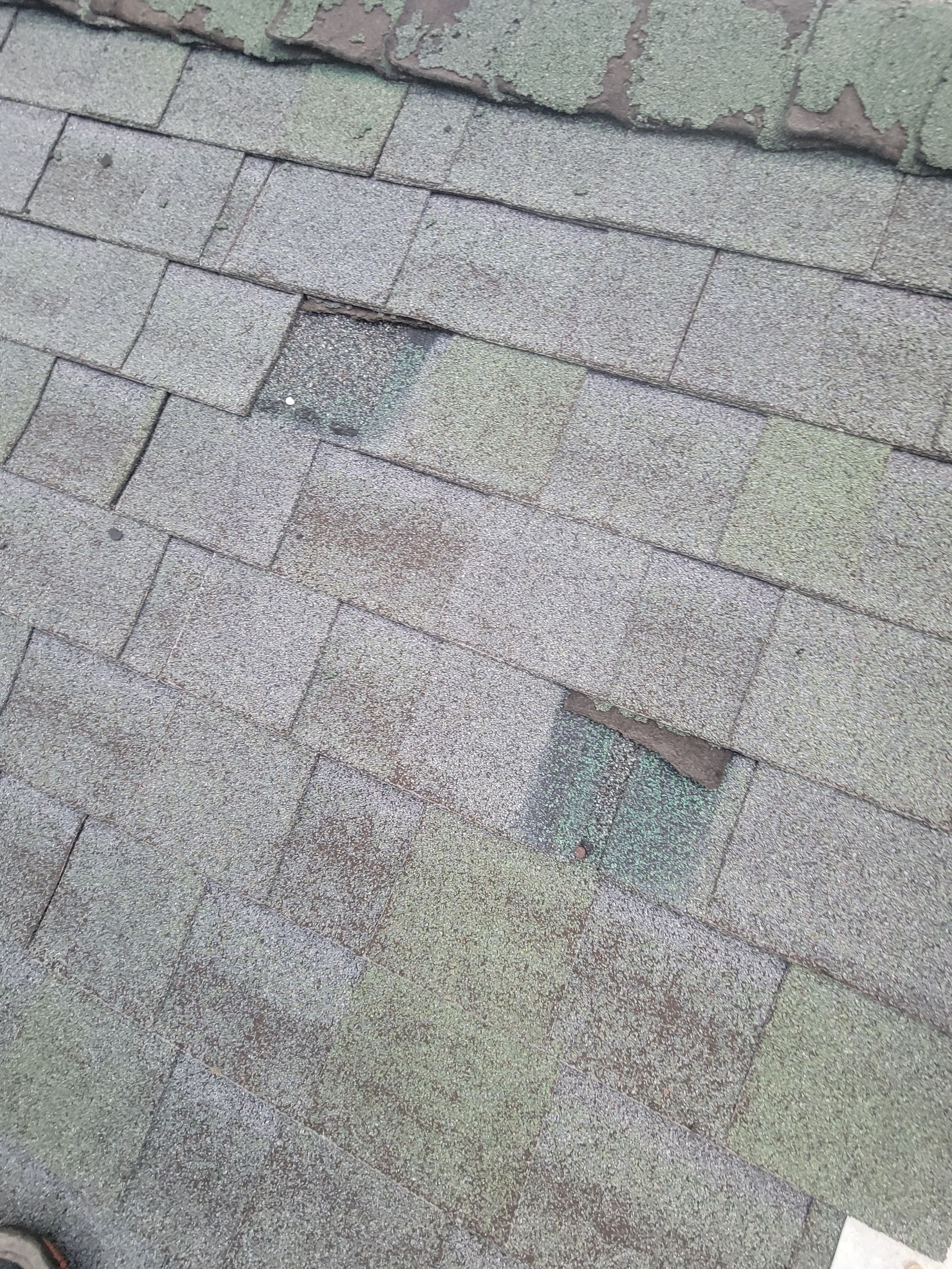 Roof Repair using CertainTeed landmark Pros by The B.A.R Roofing