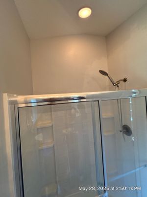 Tampa Mold Removal