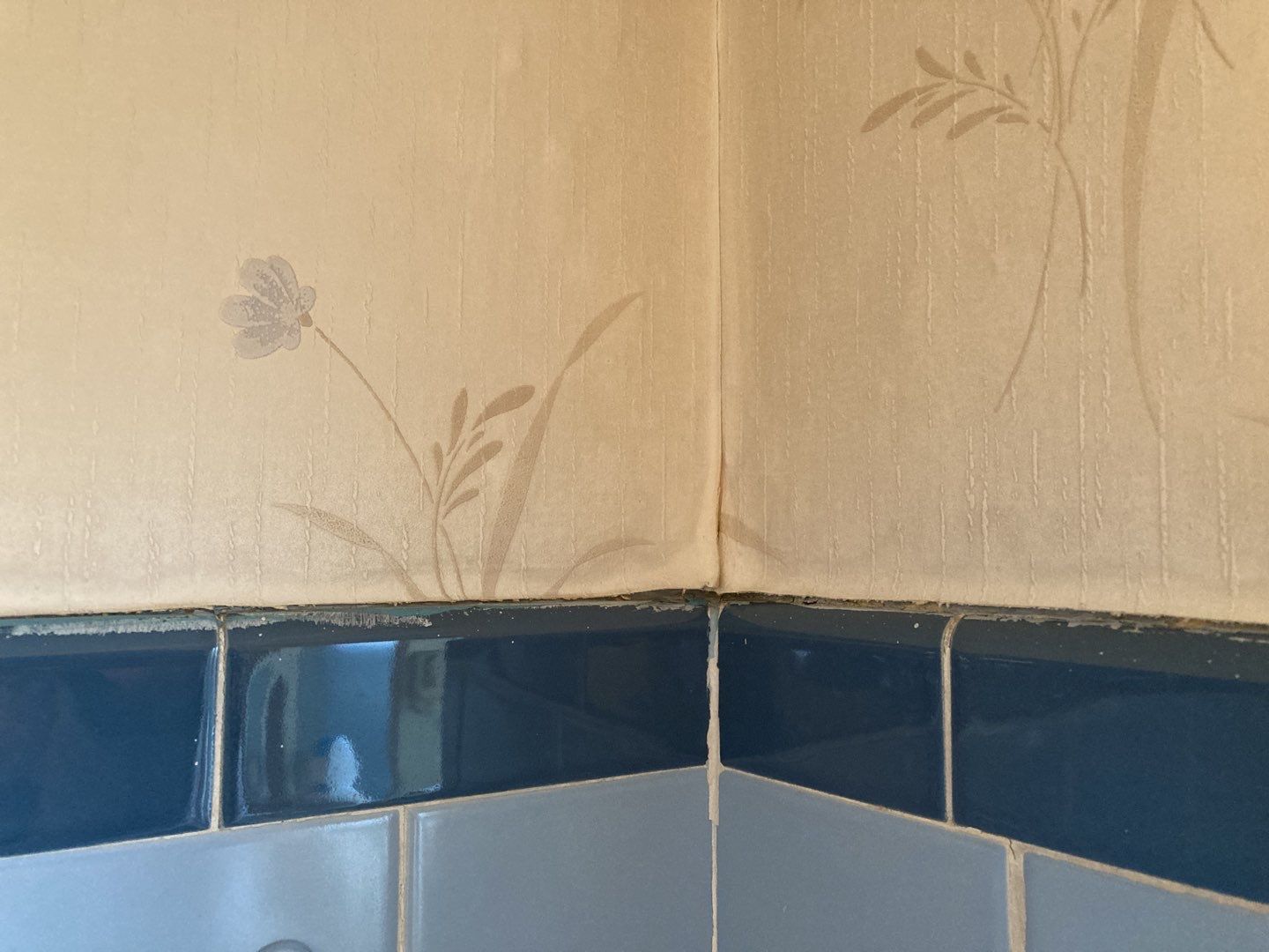 Water Damage Repair by Accountable Home Services