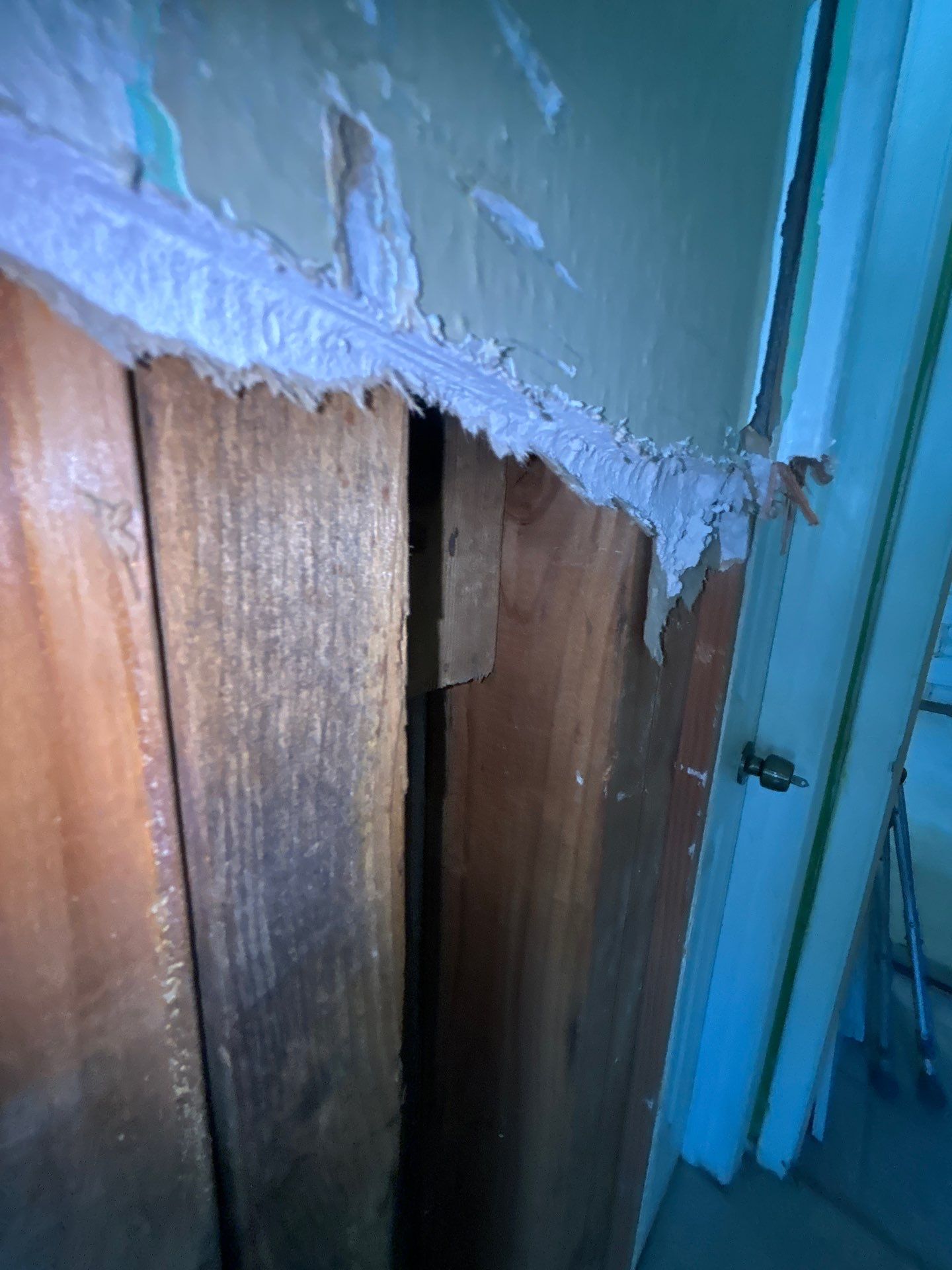 Tampa Mold Removal by Ampm Restoration Services
