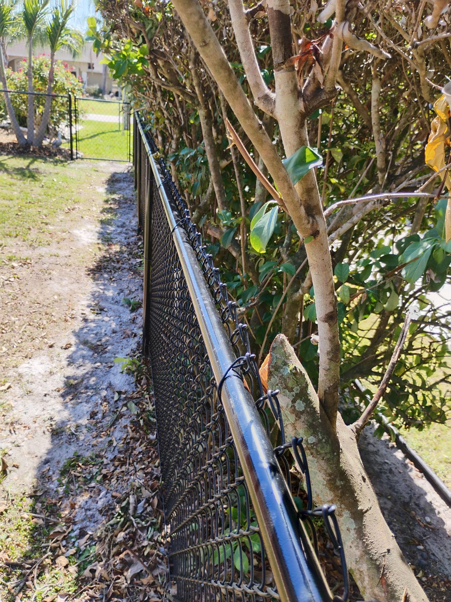 Chain Link Fence in Punta Gorda by True Fence LLC