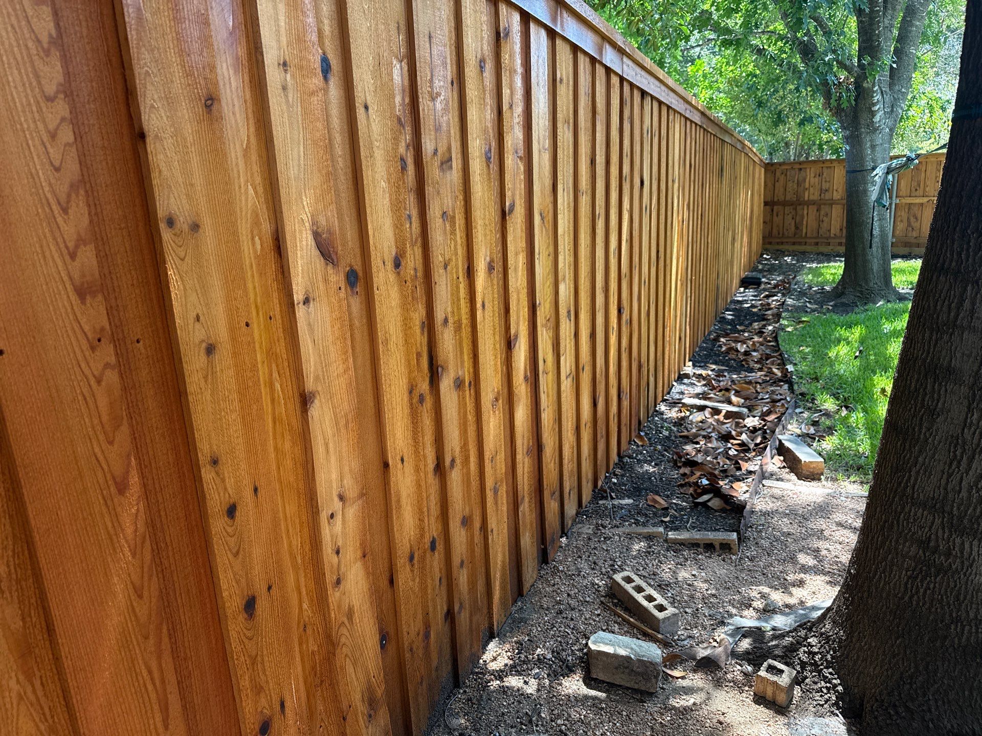 Cedar Privacy Fence Stain in Round Rock by Rhino Home Care