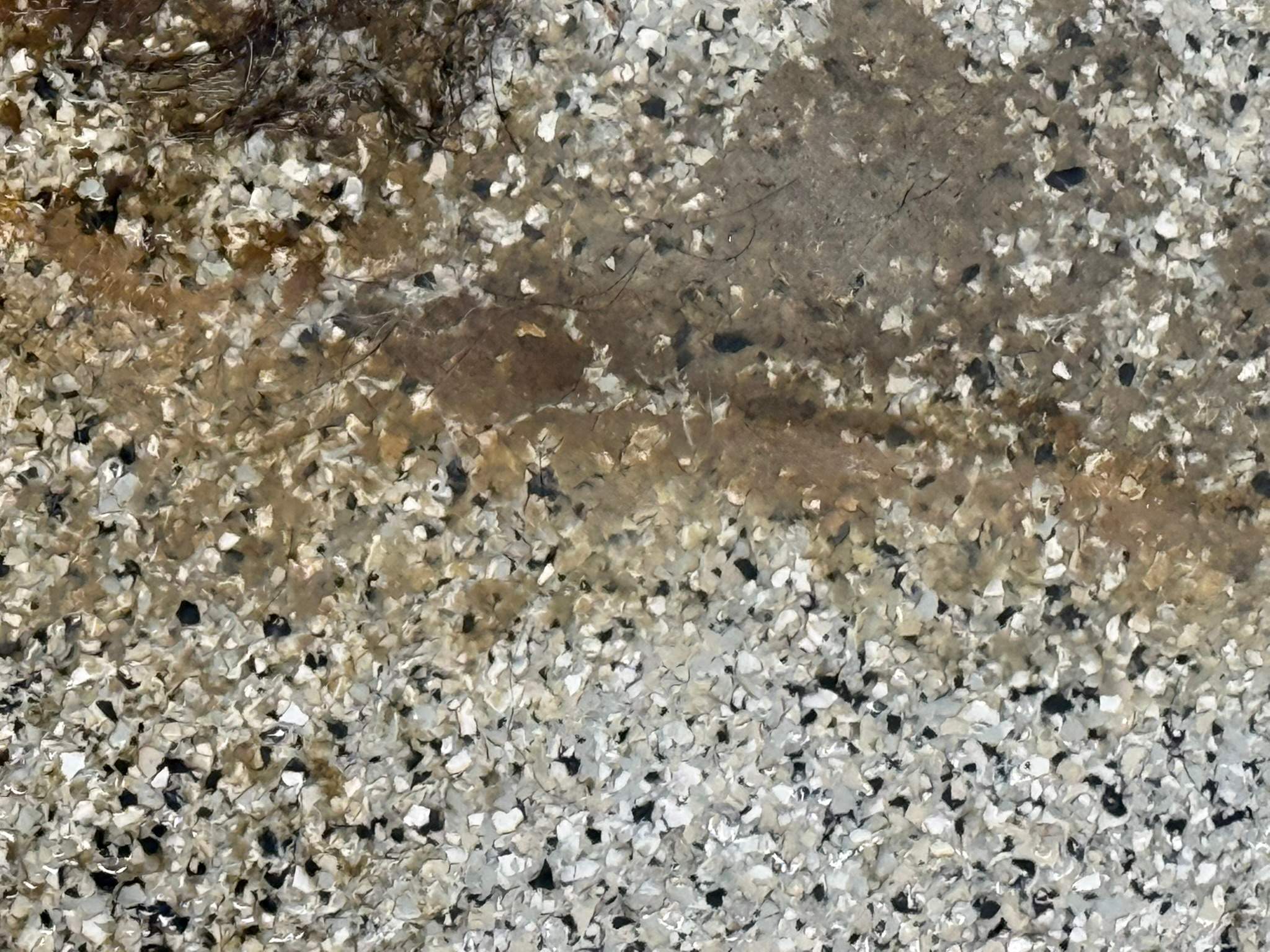 Project in Albion by Wise Coatings of Central Michigan