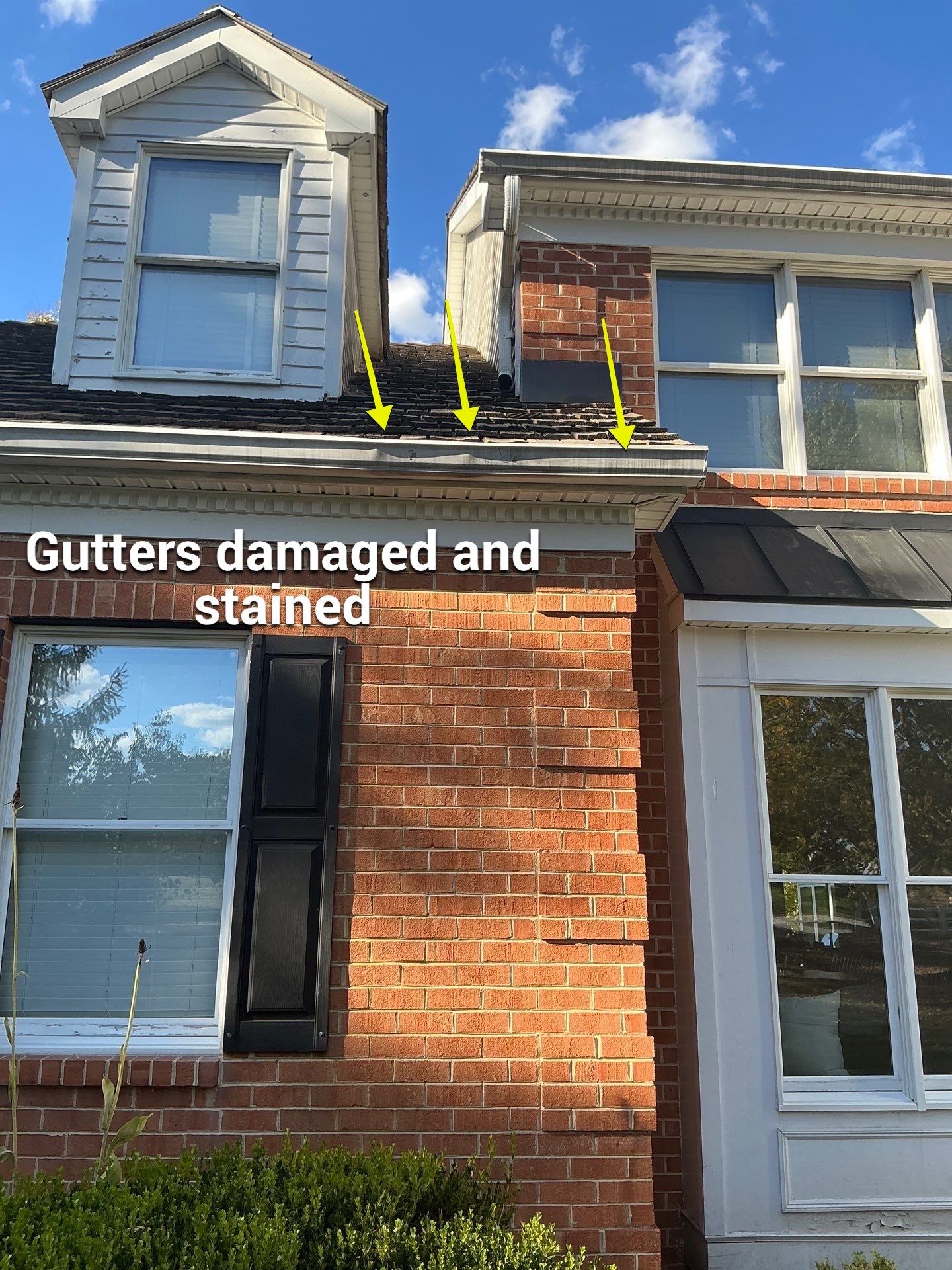 Johanna's Home in Newtown by Window Guardians
