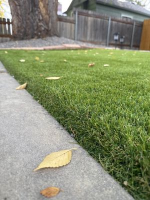 Boise Residential Landscape Renovation With Artificial Turf And Paver Walkways