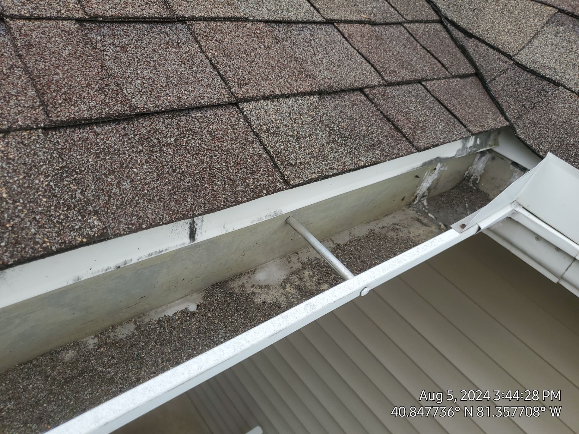 Rae Looby by Silver Leaf Contracting 