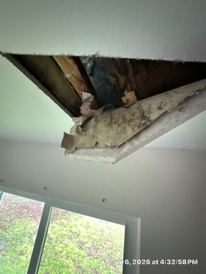 Mold Remediation — Bonita Springs, FL