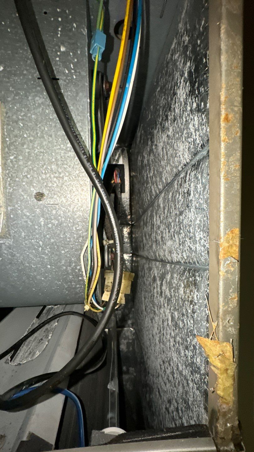 Commercial Air Duct Cleaning in Tavares by Hygienic Air, Inc