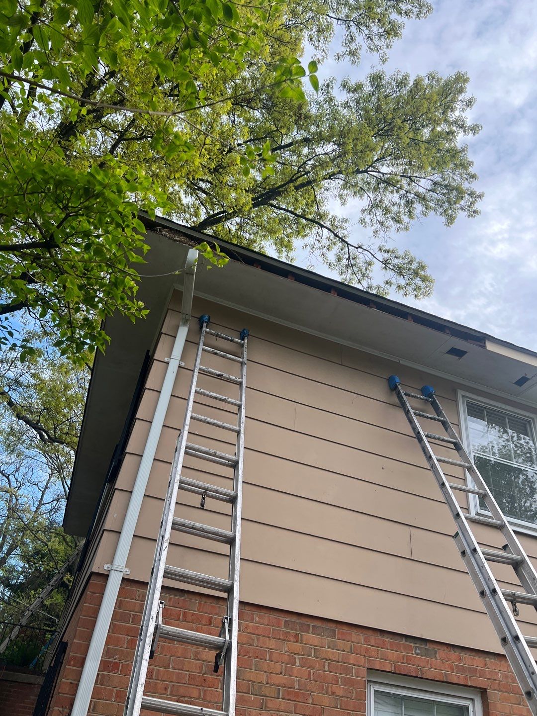 Arlington: Multi-Trade Exterior Remodel by RM Banning, Inc.