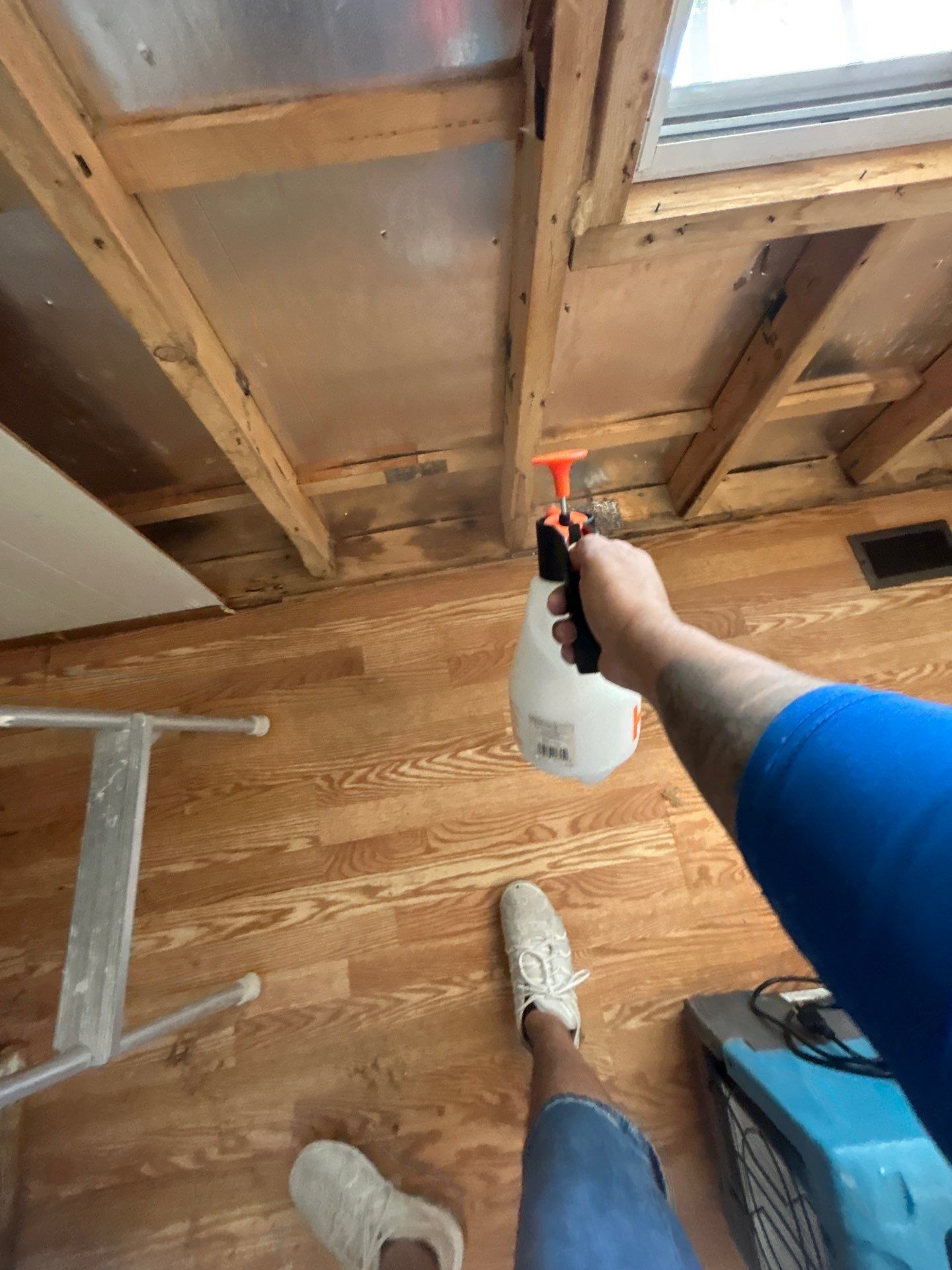 Mold Remediation Bradenton by Ampm Restoration Services 