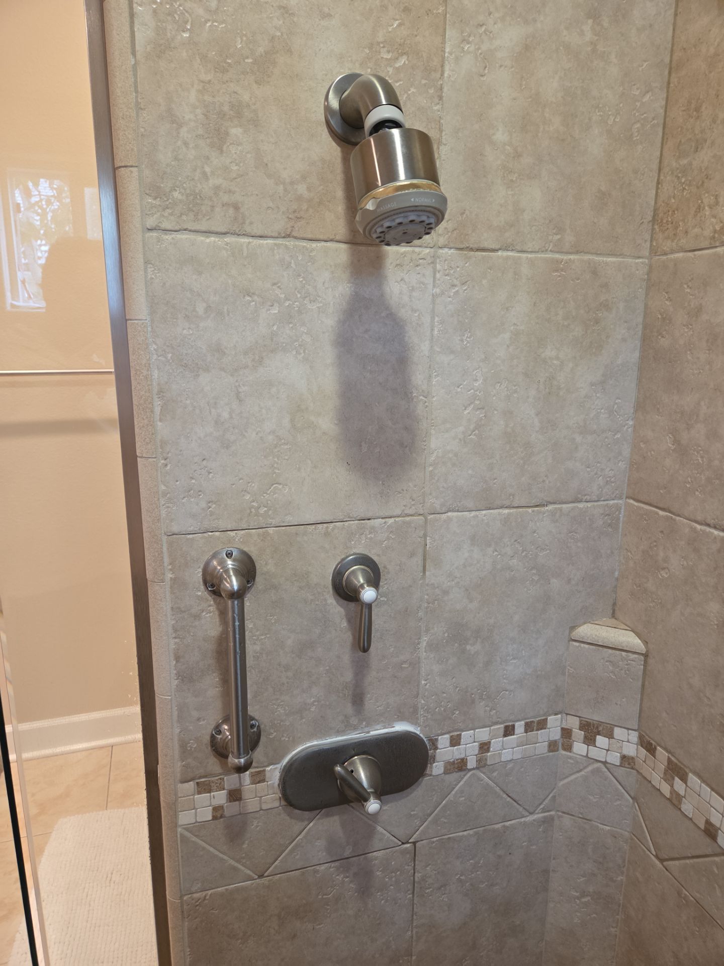 Shower Repair by Professional Plumbing Inc 