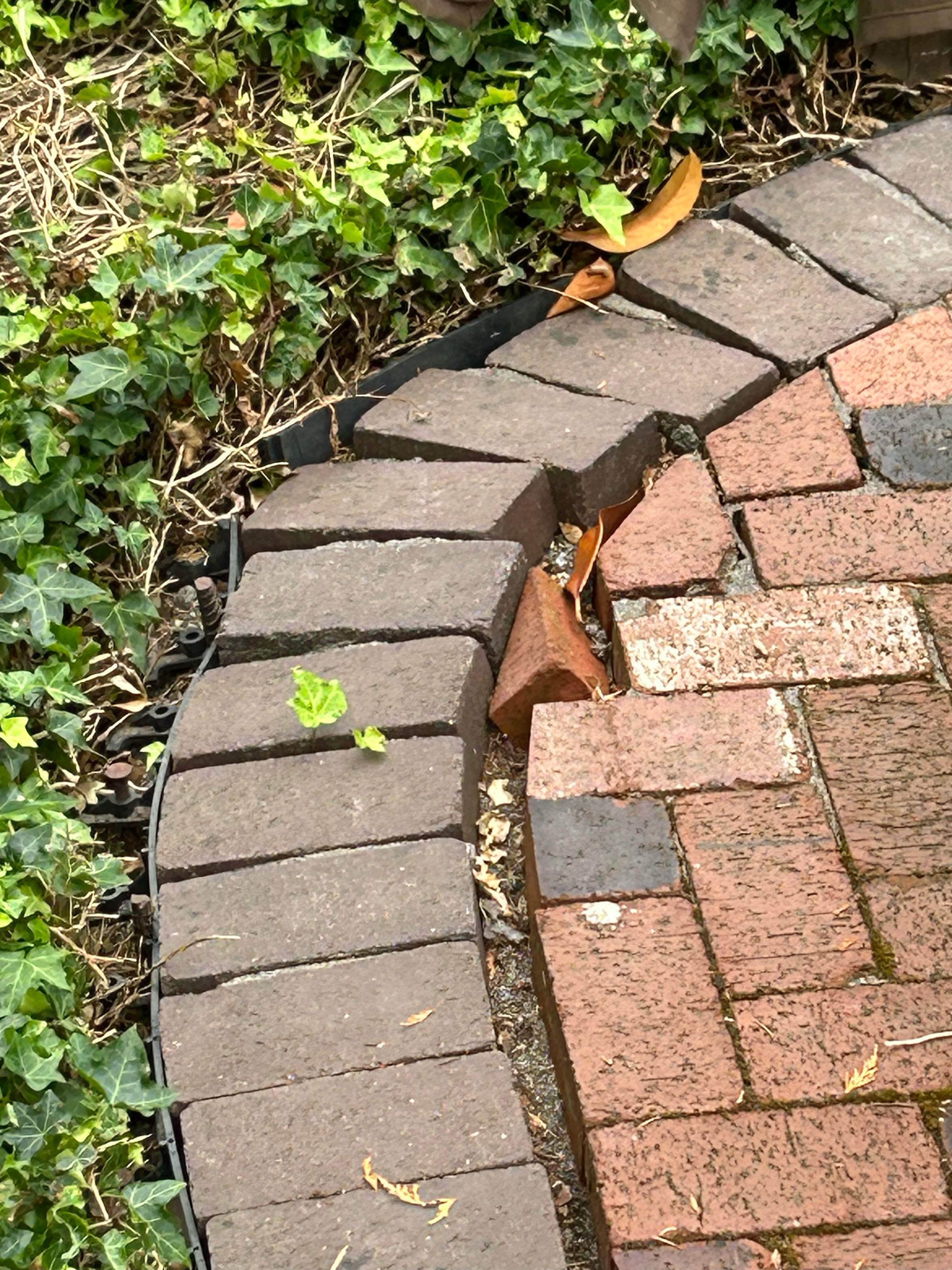 Edmonds Brick Patio Renovation by Jireh Asphalt & Concrete Inc 