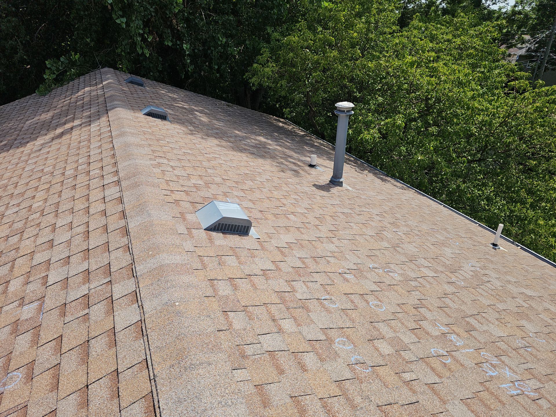Malarkey Vista Natural Wood Roof by Loyal Nine