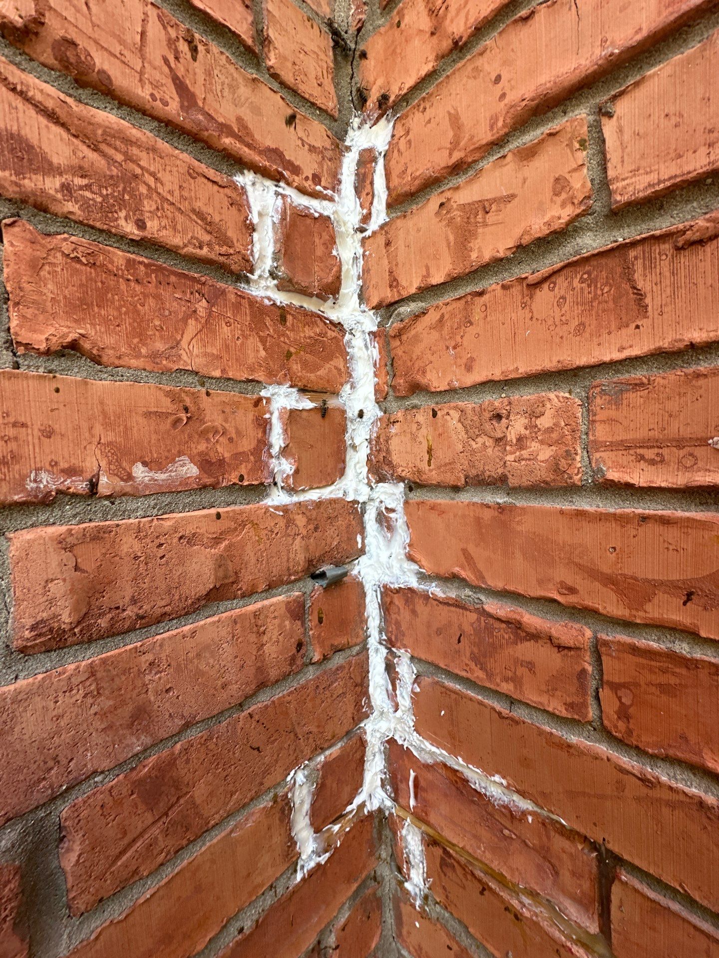 Bees Behind Bricks by Rockwall Honey Bee Company