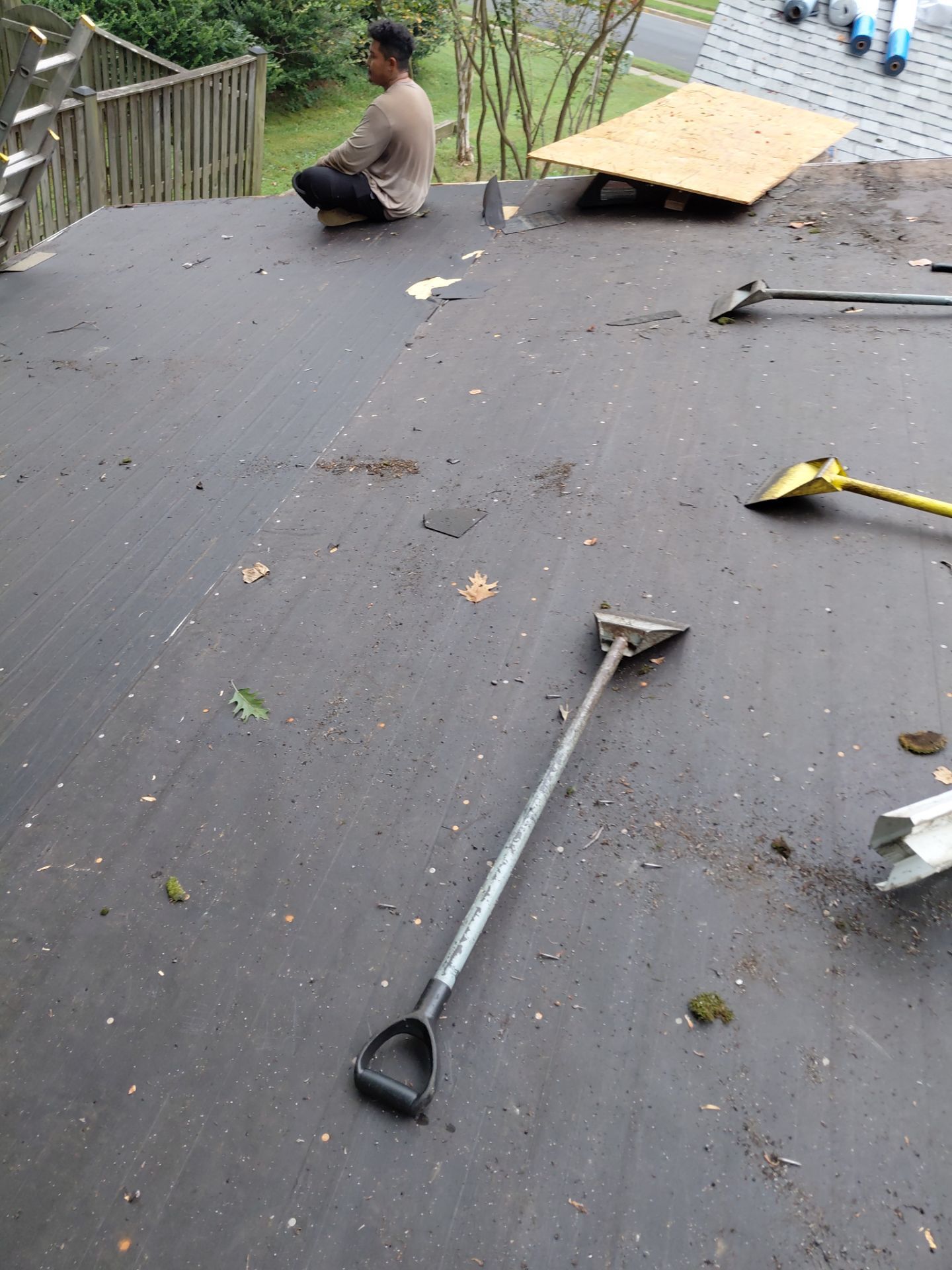 Springfield : with CertainTeed Landmark Pro in Max Def Cobblestone Gray  by RM Banning, Inc.