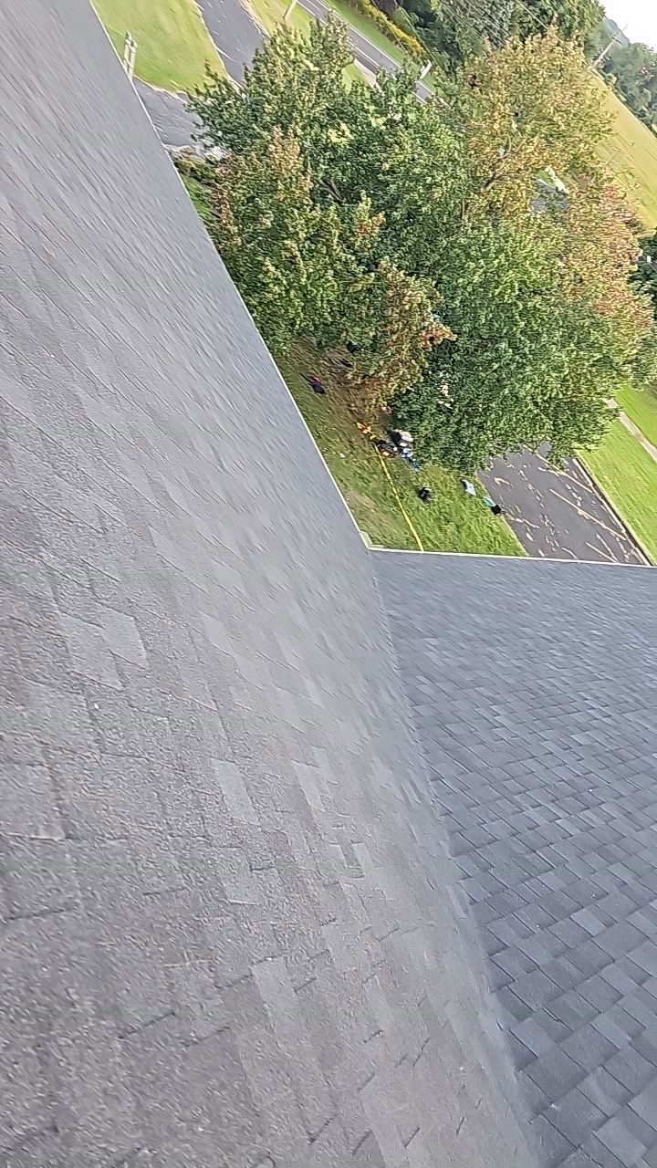 ATLAS PINNACLE COLOR: BLACK PRISTINE by Eagle Eye Roofing
