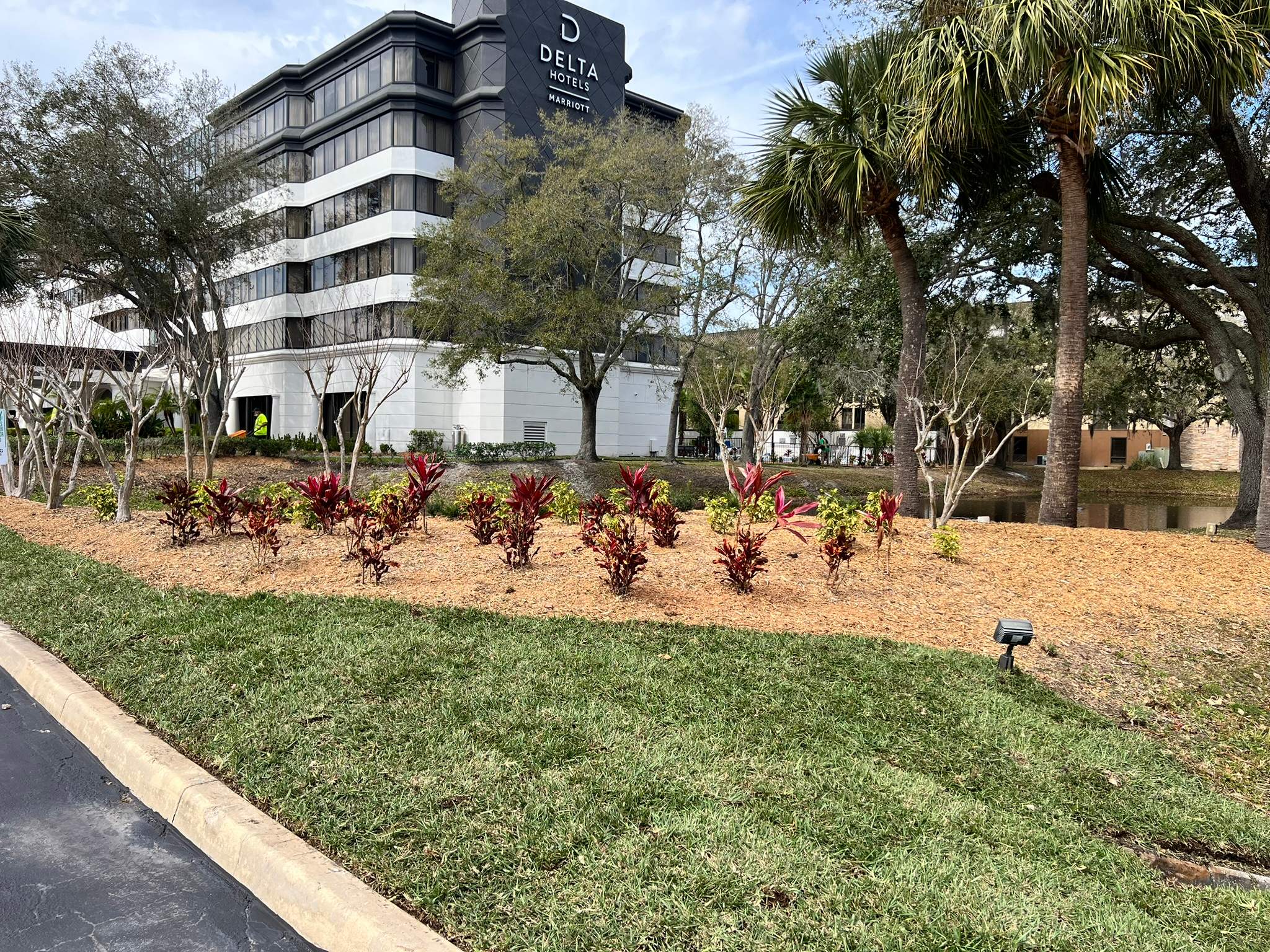 Landscape Install | Marriott Hotel by ProGreen Services