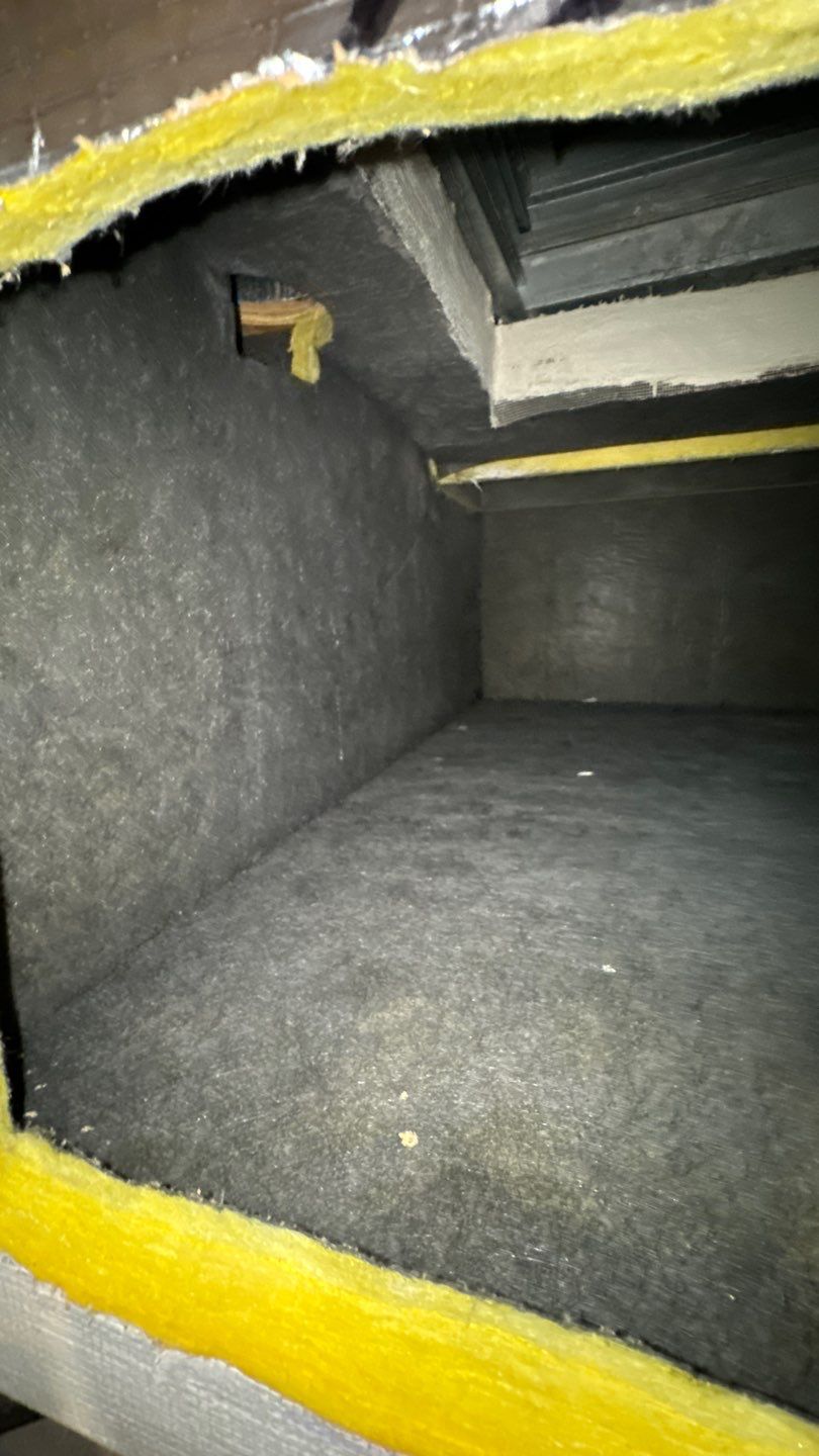 Air Duct Cleaning in Clermont by Hygienic Air, Inc