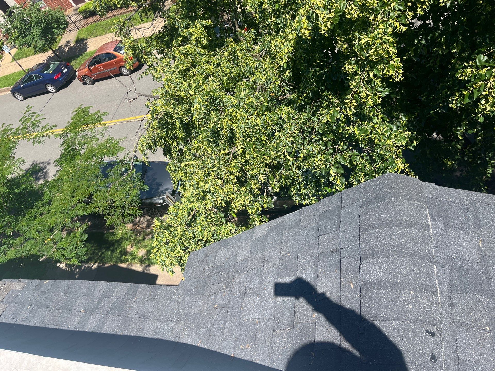 Alexandria: Siding Replacement with Solid Pine Wood Lap Siding by RM Banning, Inc.