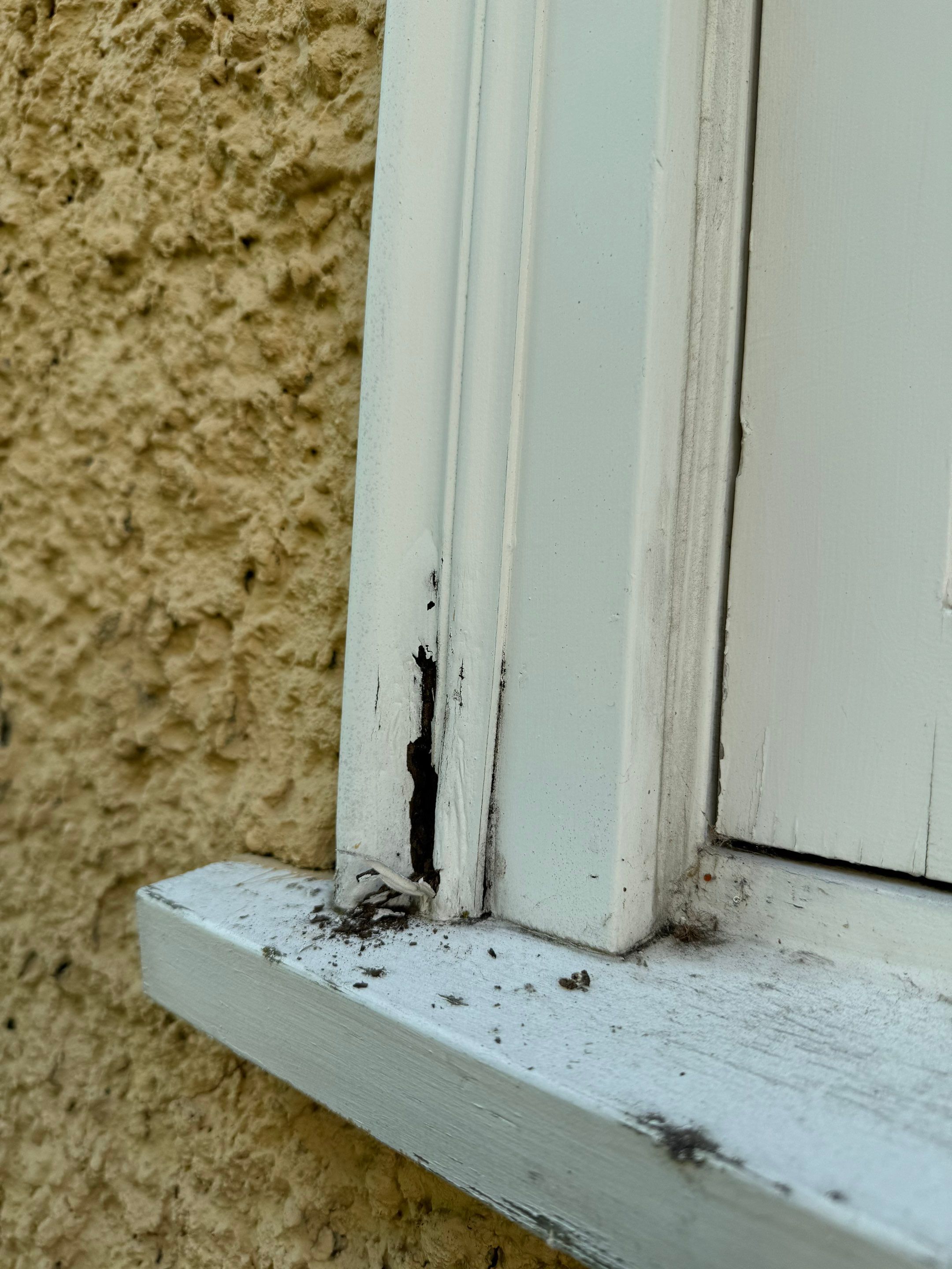 Fascia & Trim Painting - 25th st-  West Vancouver by YVR Construction Group
