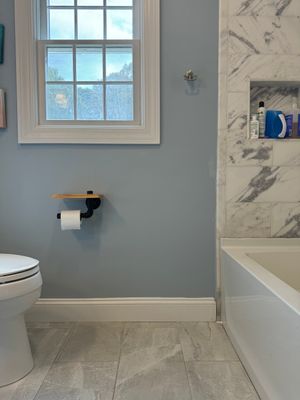Bathroom Mold Remediation