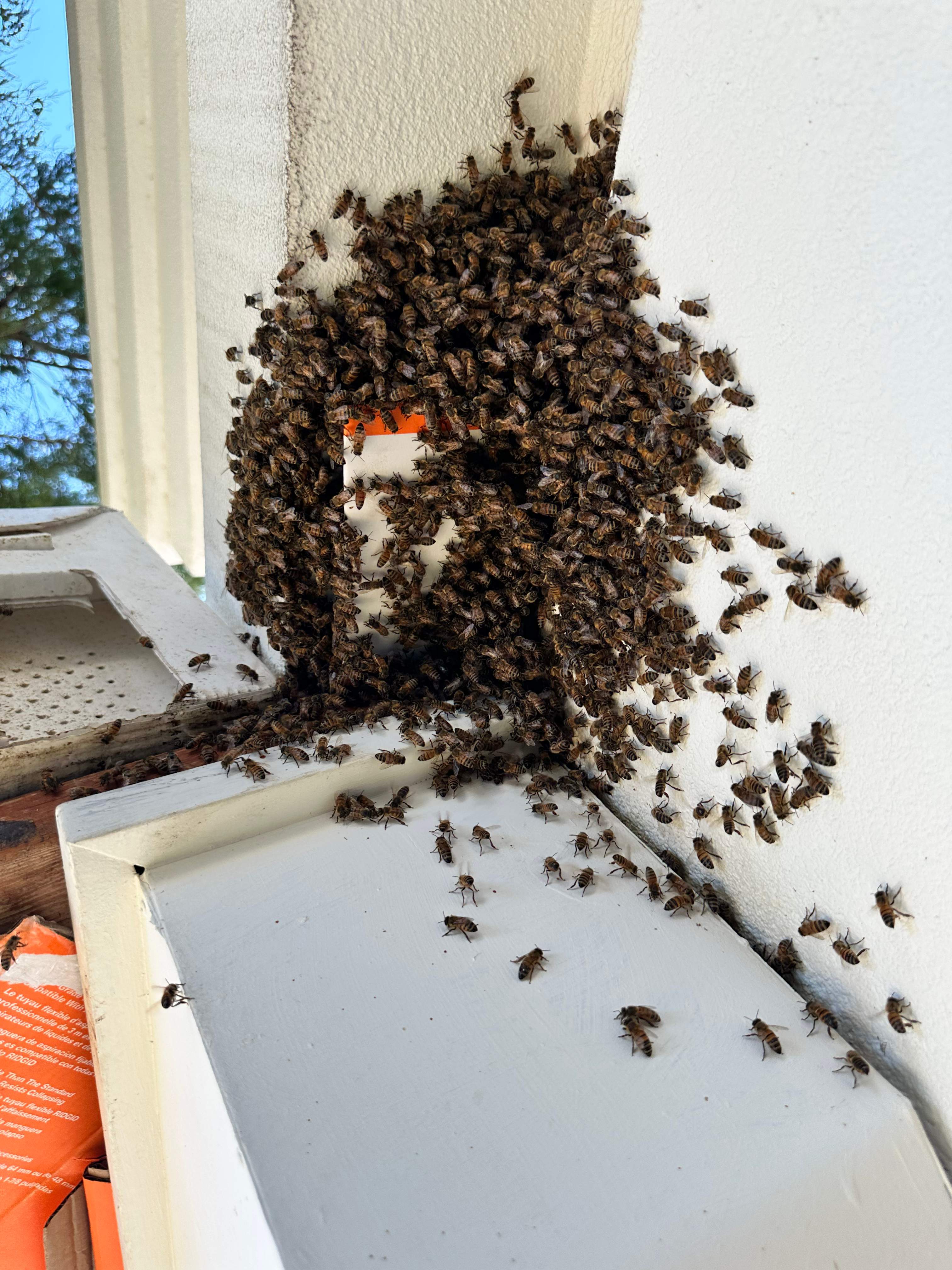 Hotel by Rockwall Honey Bee Company