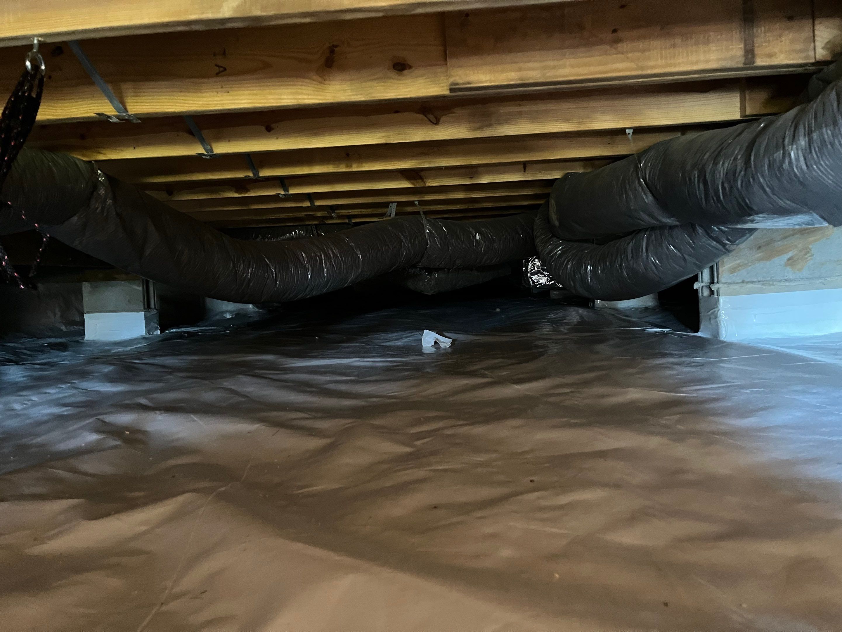 Crawlspace Mold Remediation in Austin, IN by ANR Restoration