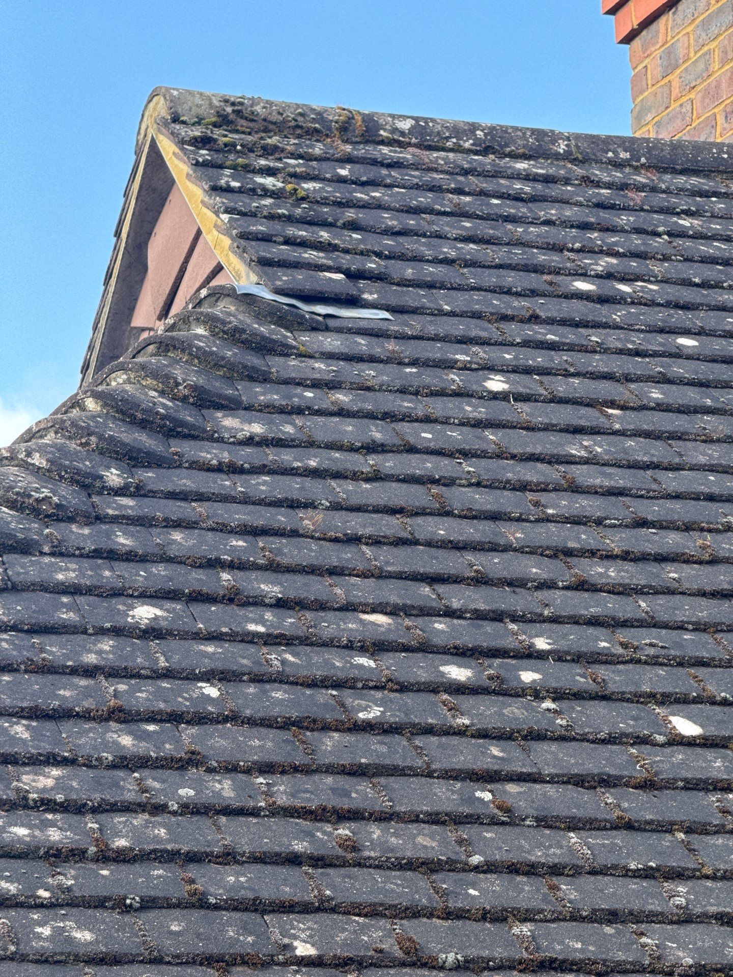 Roof Clean - Moss Removal - Gutter Clean using Honda 15lpm Low Pressure Washing Machine by Ges Exterior Cleaning ltd