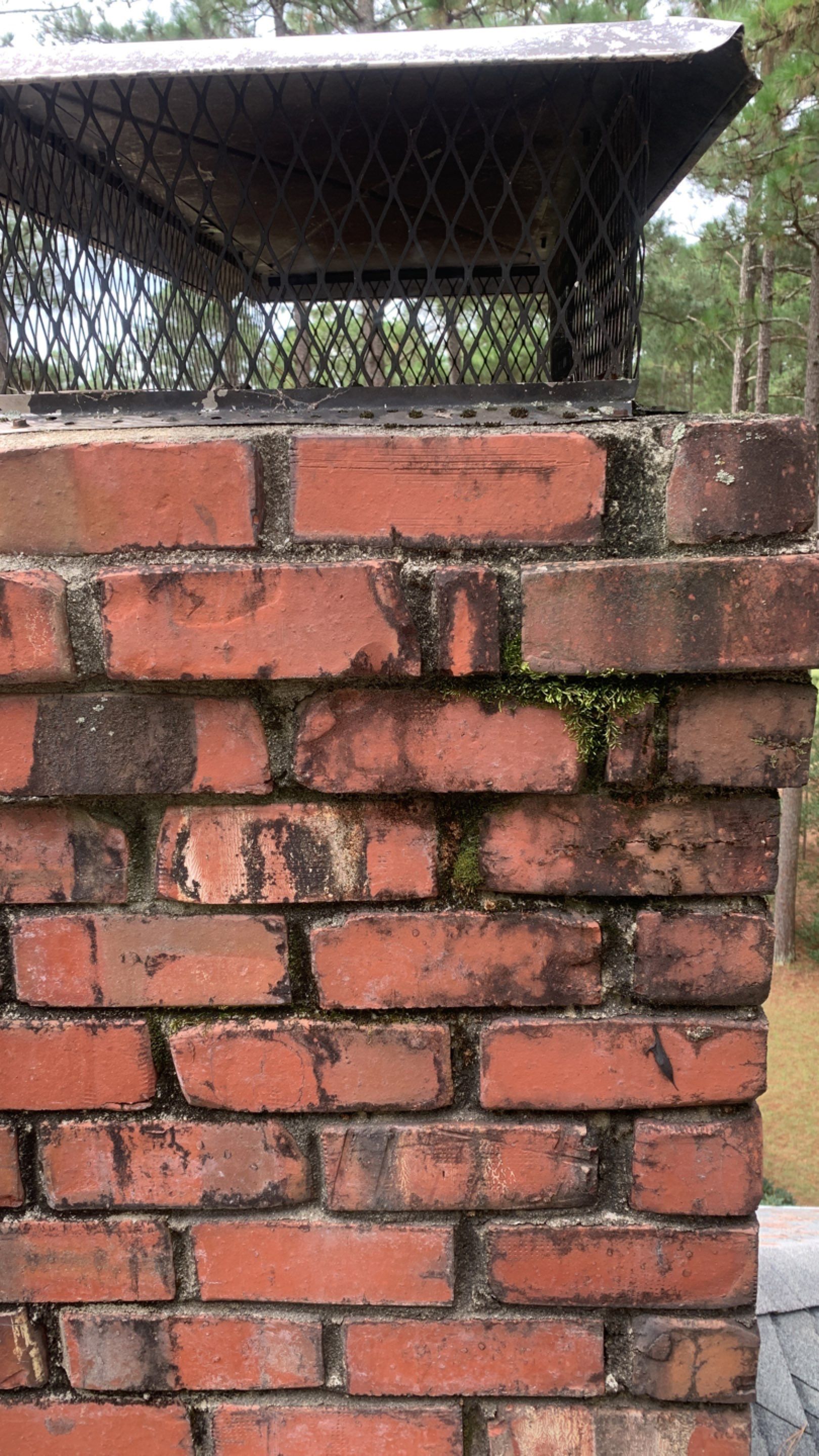 Residential Roofing Repair / Hail Damage by American Roofing NC