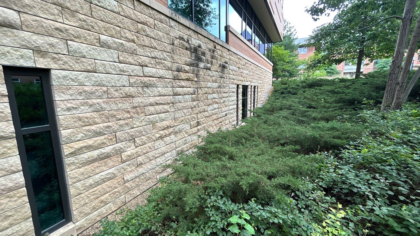 natural stone using Algaecide, soft wash soap by Northern Power Washing LLC.