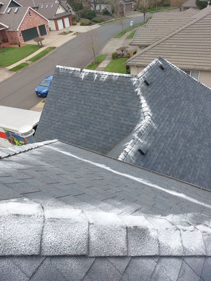 Roof Cleaning  using Moss Treatment  by BEST Roofing & Waterproofing
