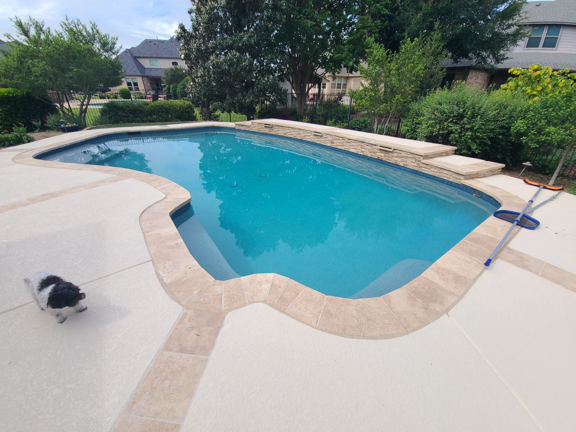 Mansfield Remodel by Sink or Swim Pools