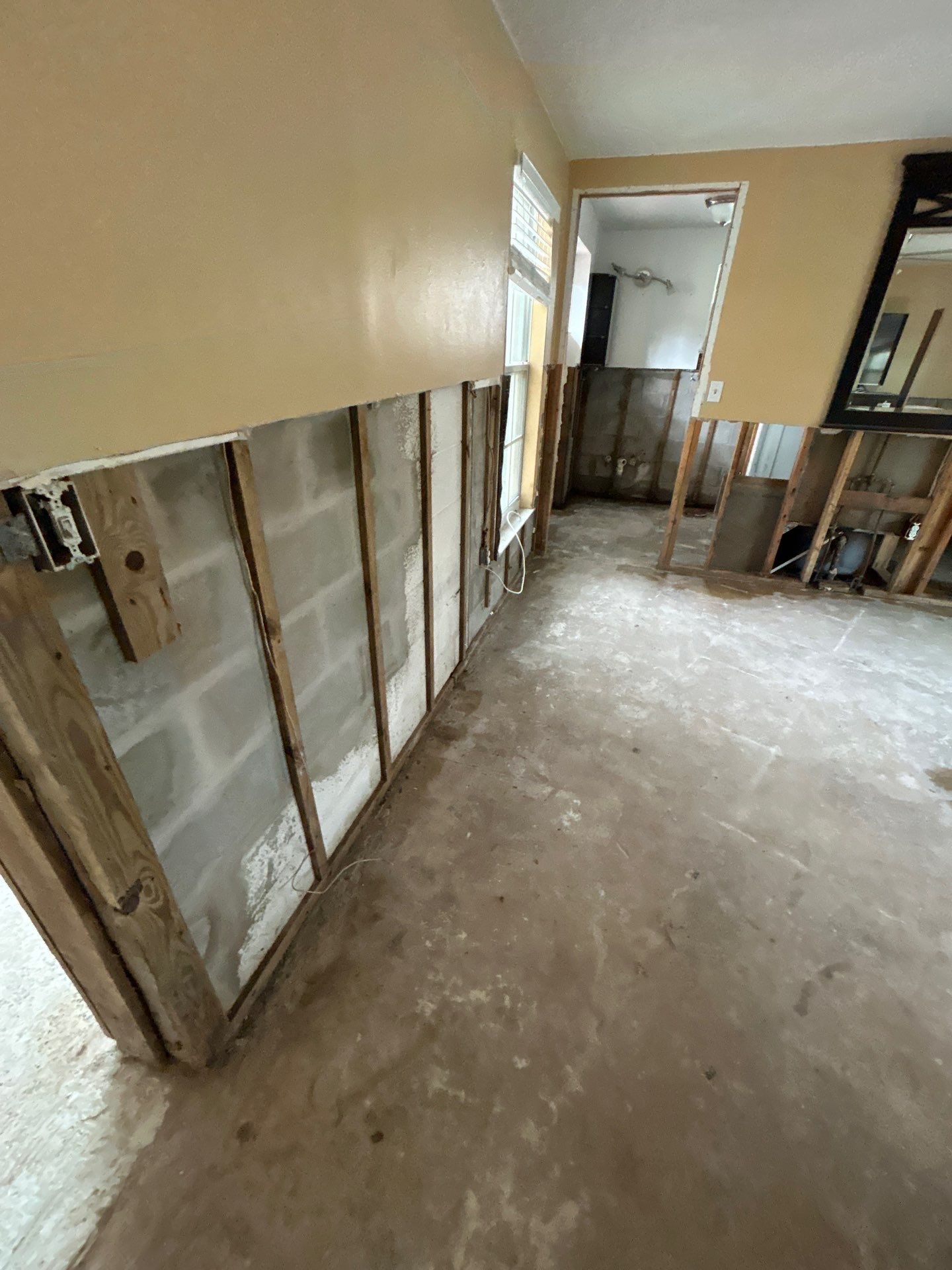 Mold Remediation + Reconstruction Bradenton by Ampm Restoration Services