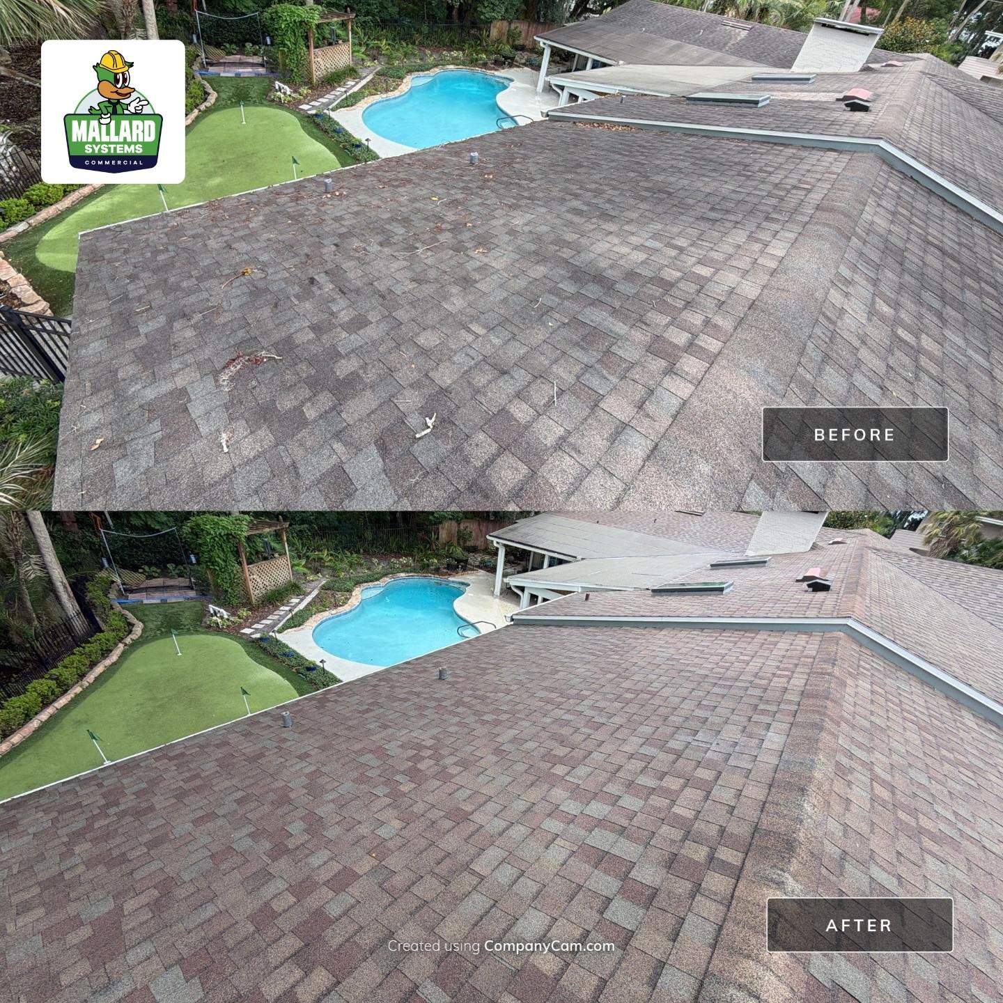 Shingle Roof Cleaning for Maitland Residence by Mallard Systems