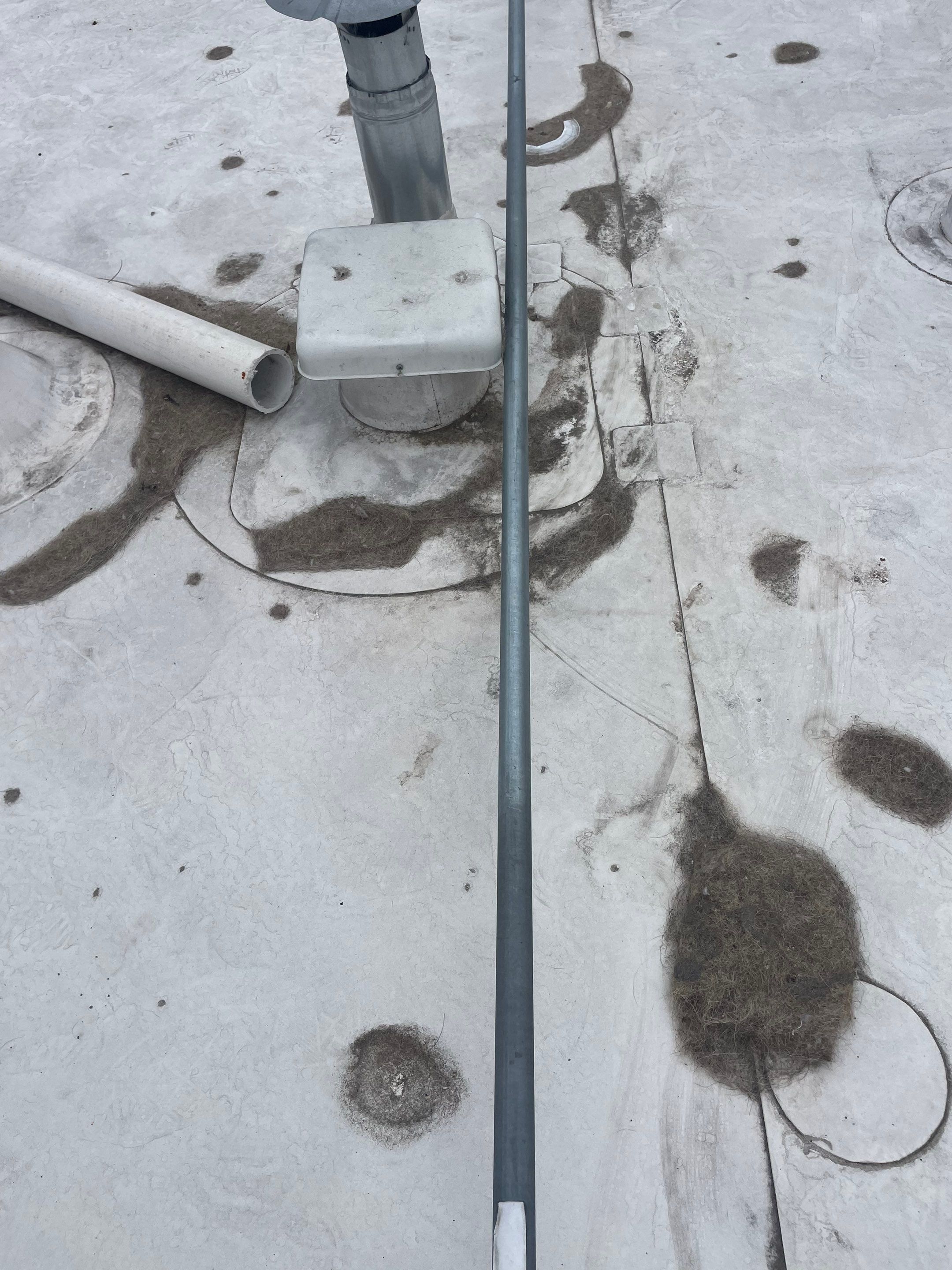 Commercial Solar Cleaning by Palm Coast Solar Cleaning