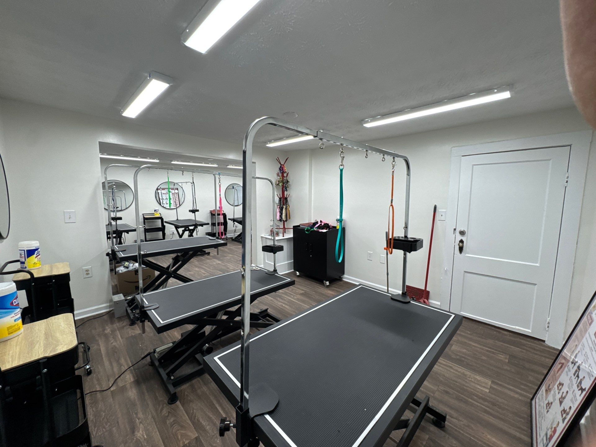 Commercial Pet Grooming Salon Interior Remodel in Powder Springs by Swift Home Renovations