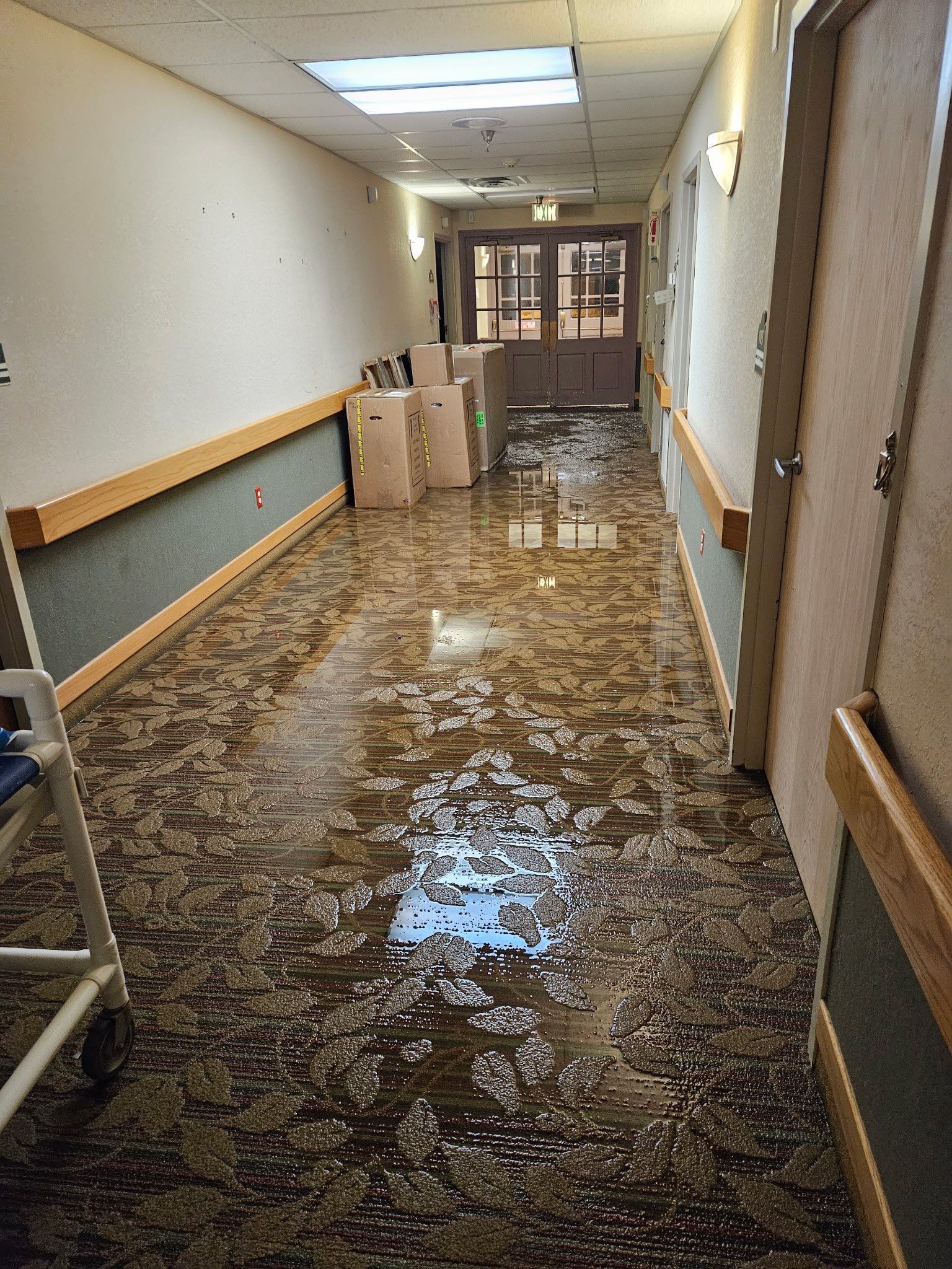 LCCR by BlueRed Restoration