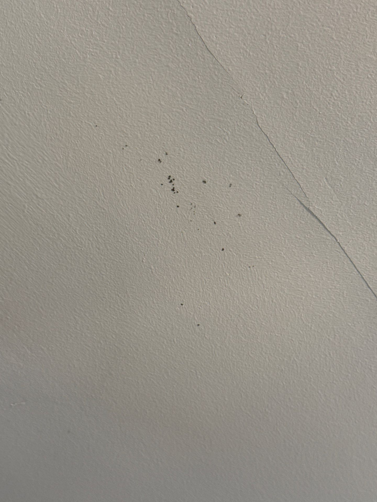 Roof Repair with Shingle Replacement – Chelmsford, MA by Mighty Dog Roofing of Greater Middlesex County