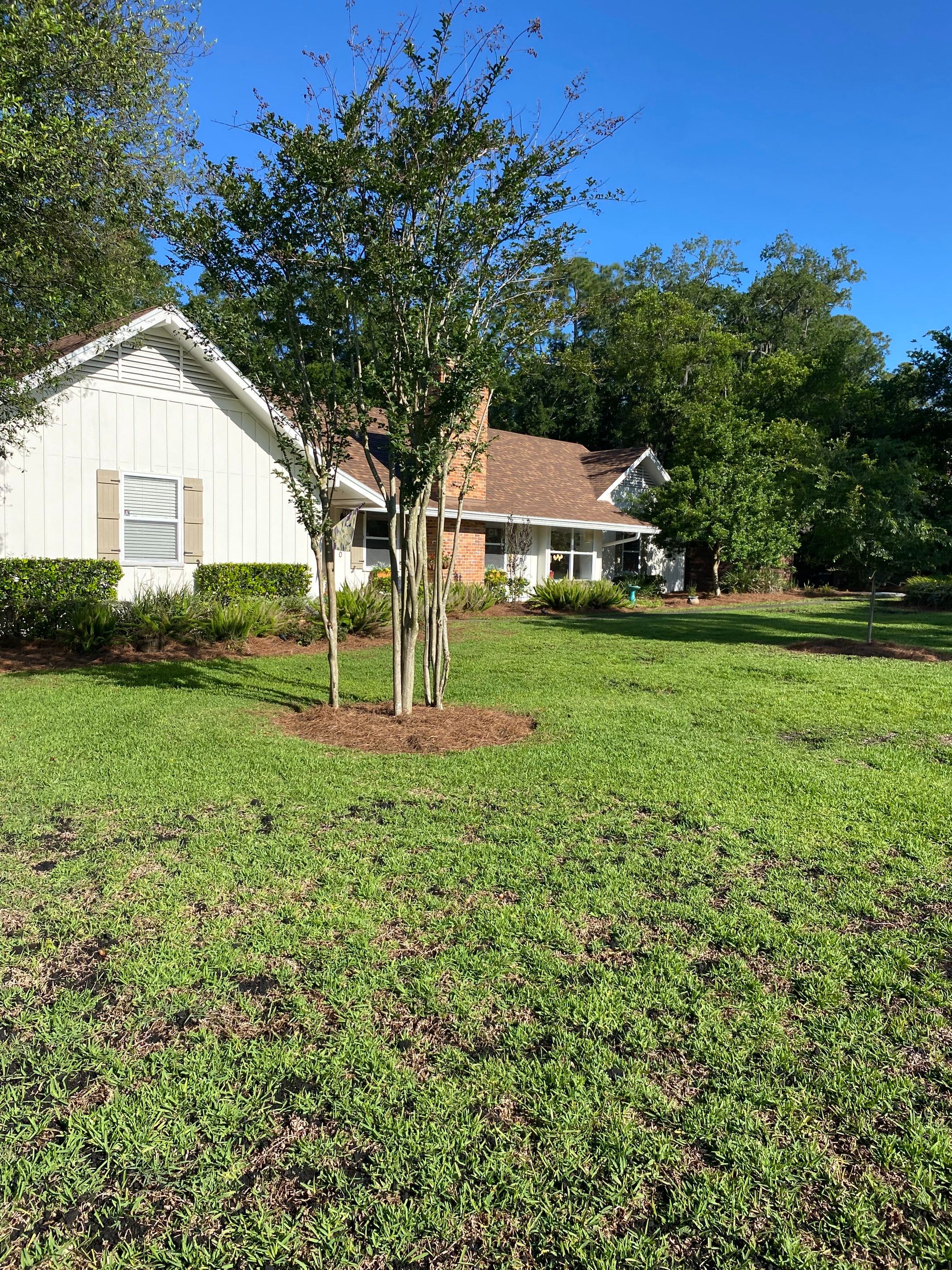 Deerwood Resident | Pine Straw & Topsoil Install by ProGreen Services